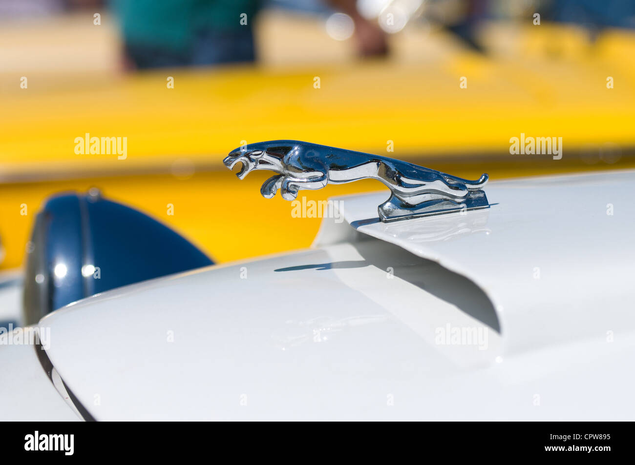 Il simbolo sul cofano della roadster Panther Kallista - Jumping Panther Foto Stock