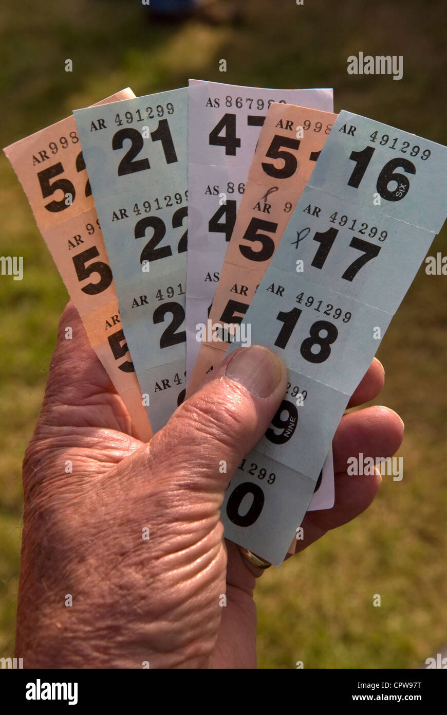 Uomo con i suoi biglietti di lotteria durante il concorso a premi in Dockenfield fete & Diamond celebrazione giubilare giorno, Dockenfield, Surrey Foto Stock