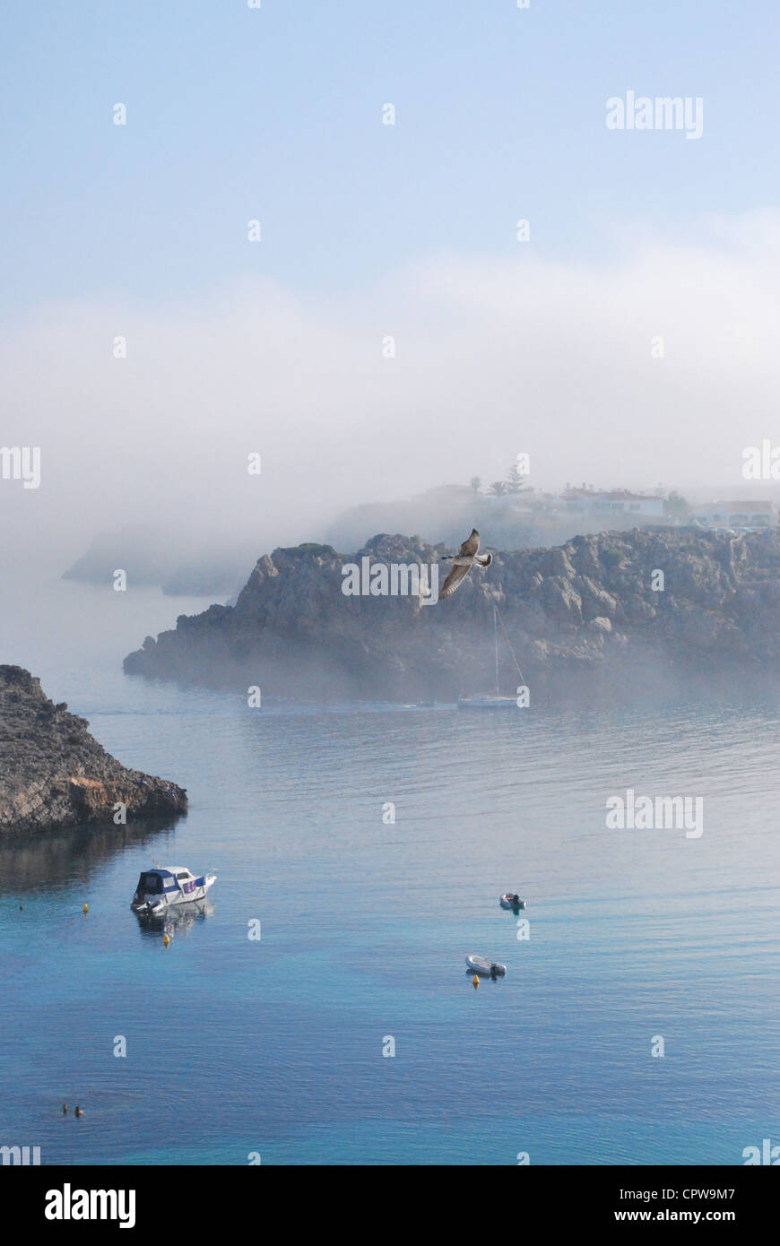 Seagull vola nella nebbia su Arenal d'en Castell Bay, a Menorca Foto Stock