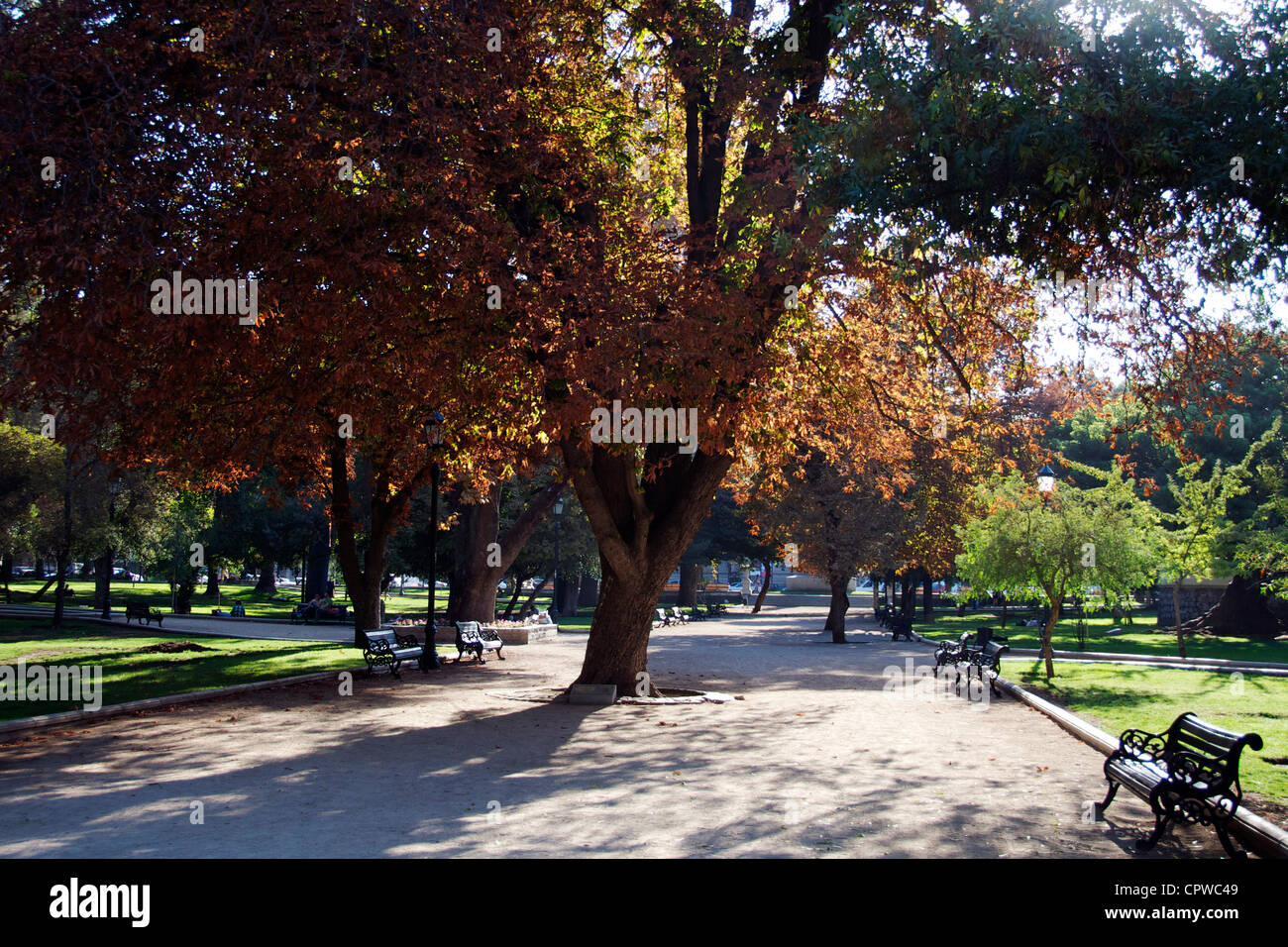 Park Forestal Santiago del Cile Foto Stock