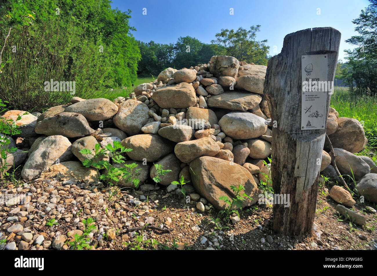 Habitat del rettile in una Svizzera riserva naturale, il Bois de Chenes (legno di quercia) Foto Stock