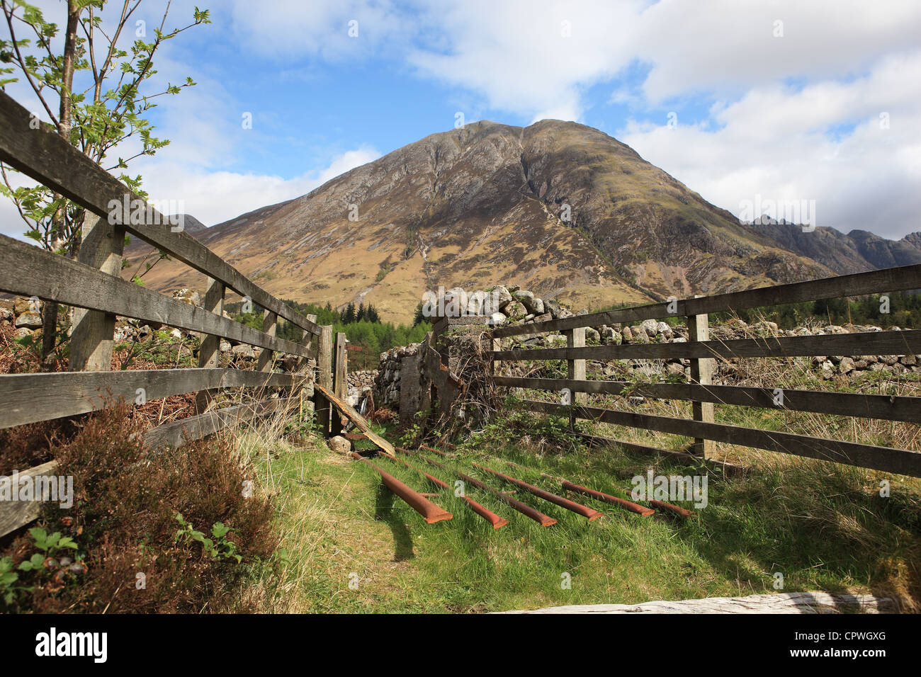 Sgorr nam Fiannaidh (967 m) il secondo Munro alto di Aonach Eagach Ridge in Glencoe Scozia Scotland Foto Stock