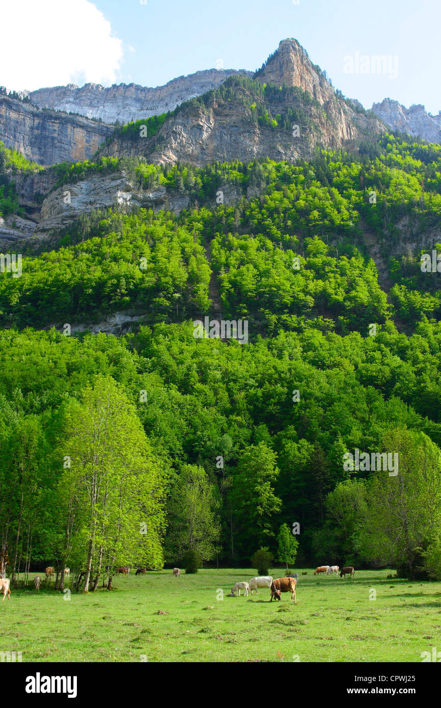 Ordesa National Park in primavera. Provincia di Huesca. Aragón. Pirenei Spagna Foto Stock