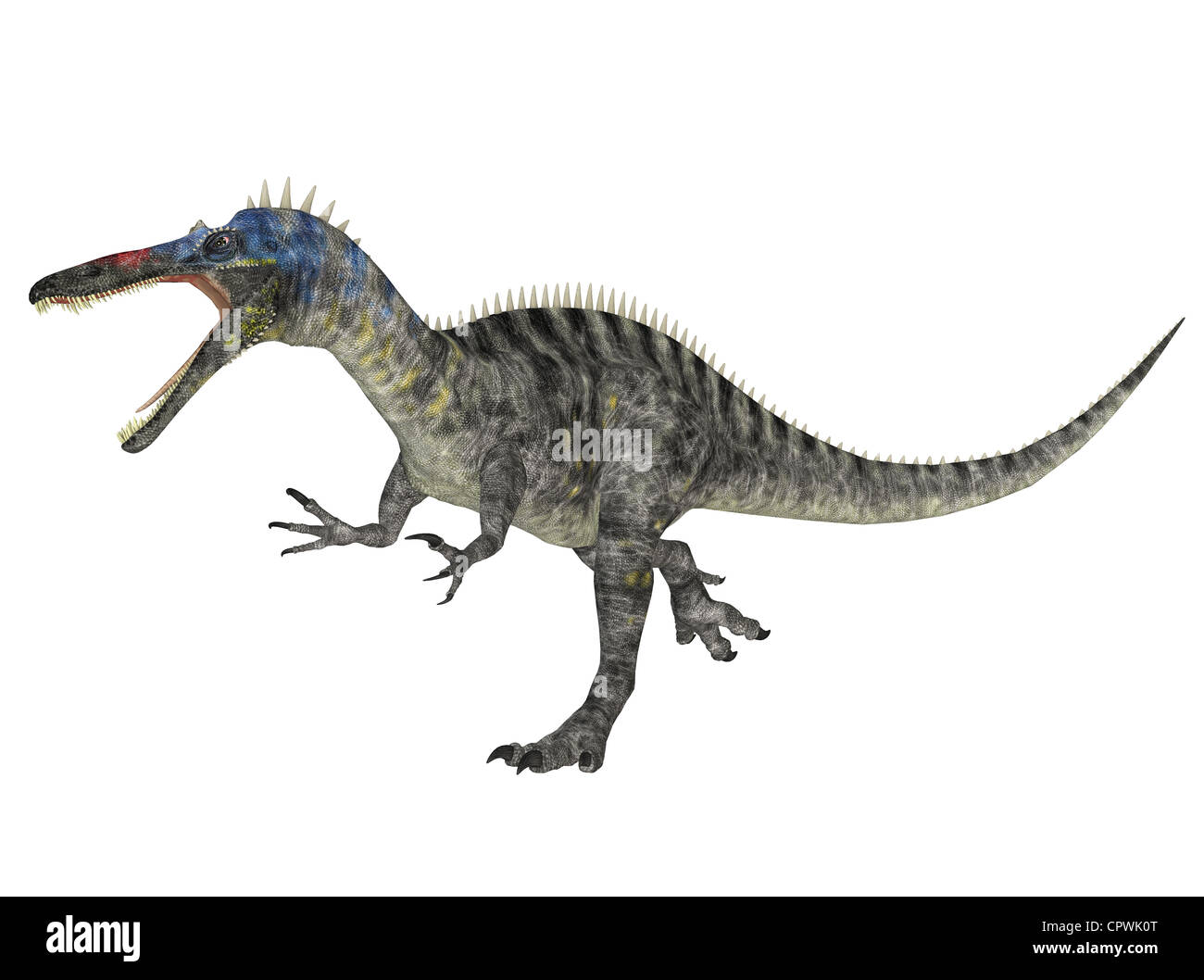 Illustrazione di un Suchomimus (specie di dinosauro) isolato su sfondo bianco Foto Stock
