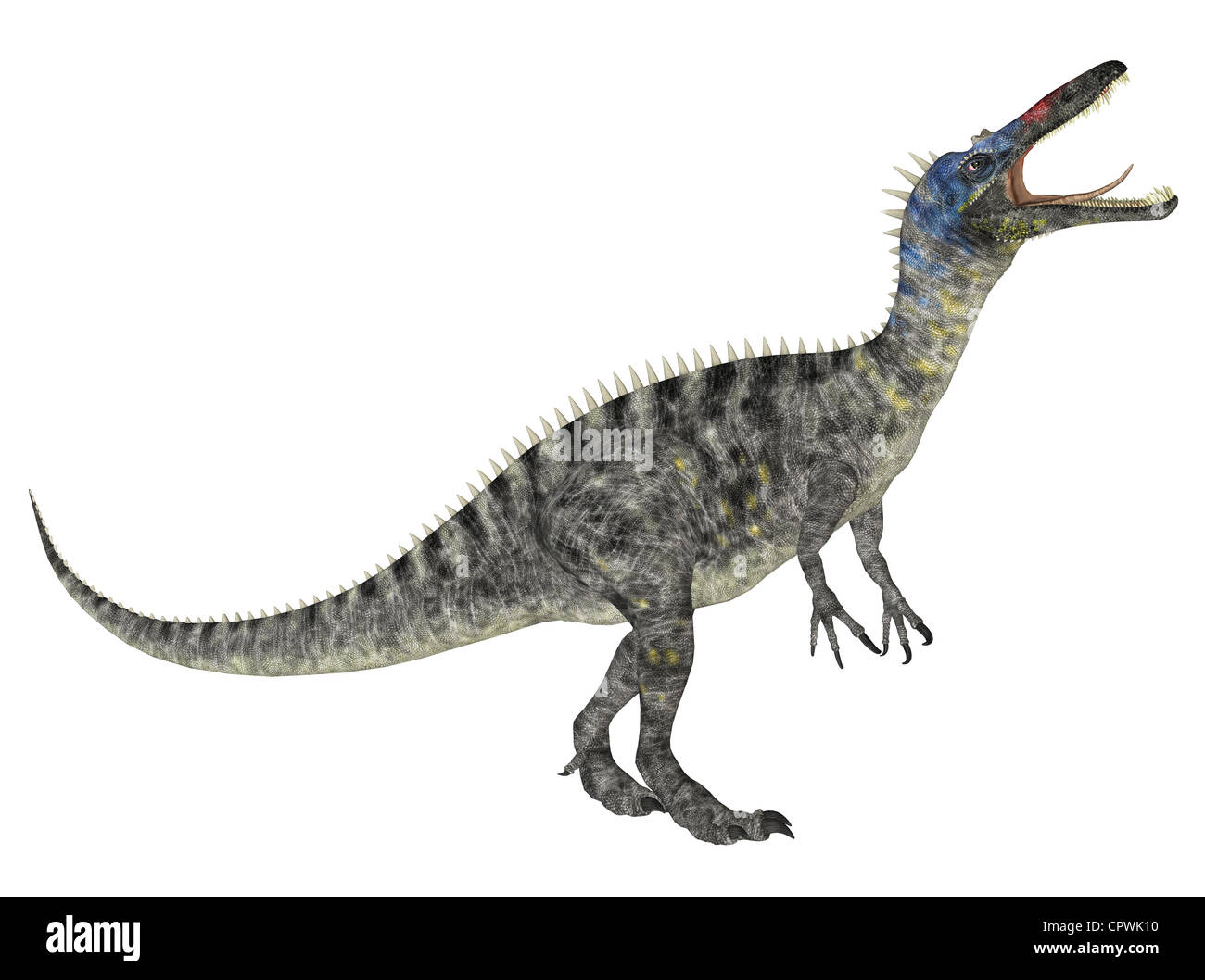 Illustrazione di un Suchomimus (specie di dinosauro) isolato su sfondo bianco Foto Stock