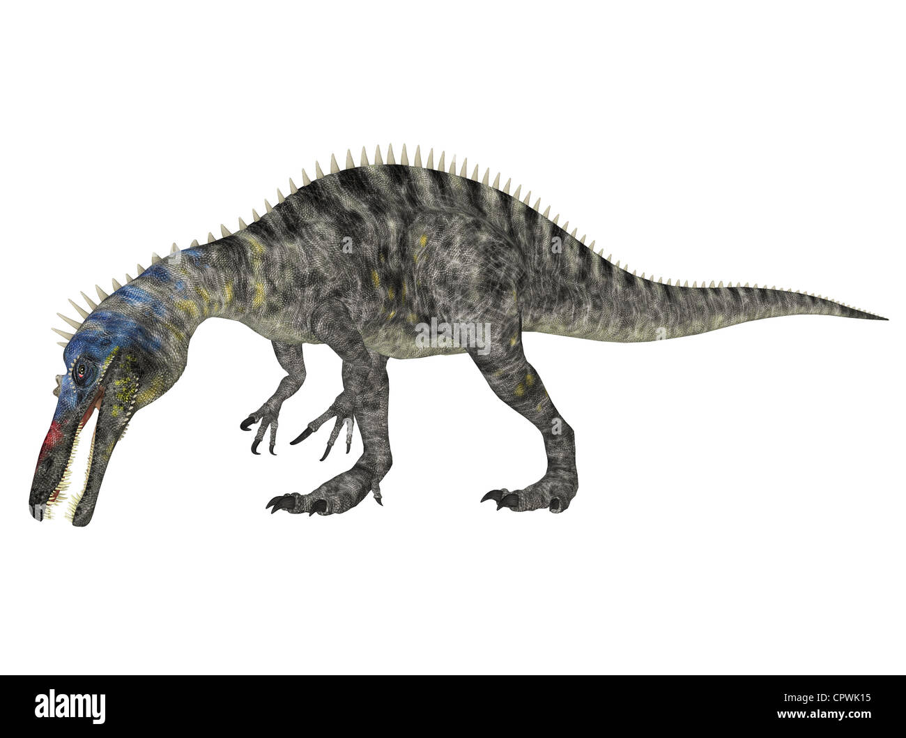 Illustrazione di un Suchomimus (specie di dinosauro) isolato su sfondo bianco Foto Stock