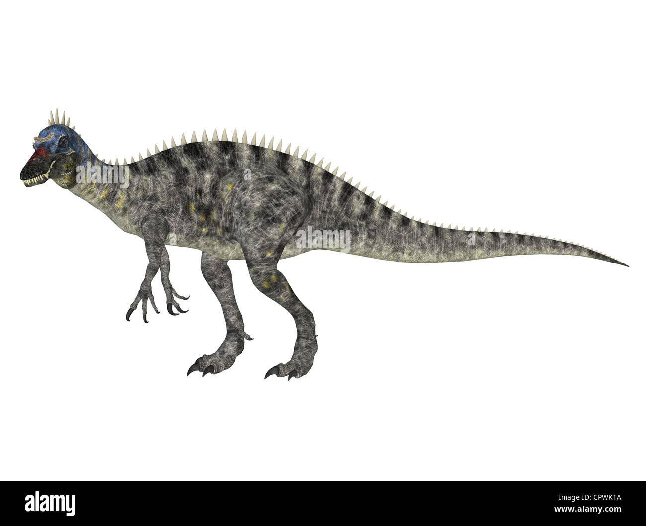 Illustrazione di un Suchomimus (specie di dinosauro) isolato su sfondo bianco Foto Stock