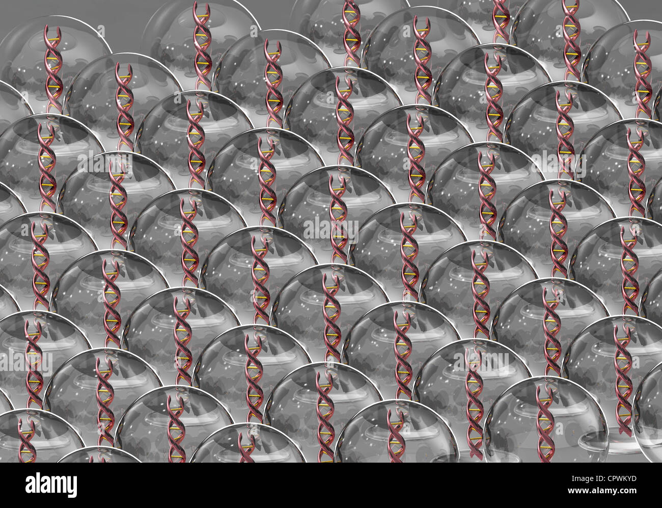 Illustrazione dei filamenti di DNA Foto Stock