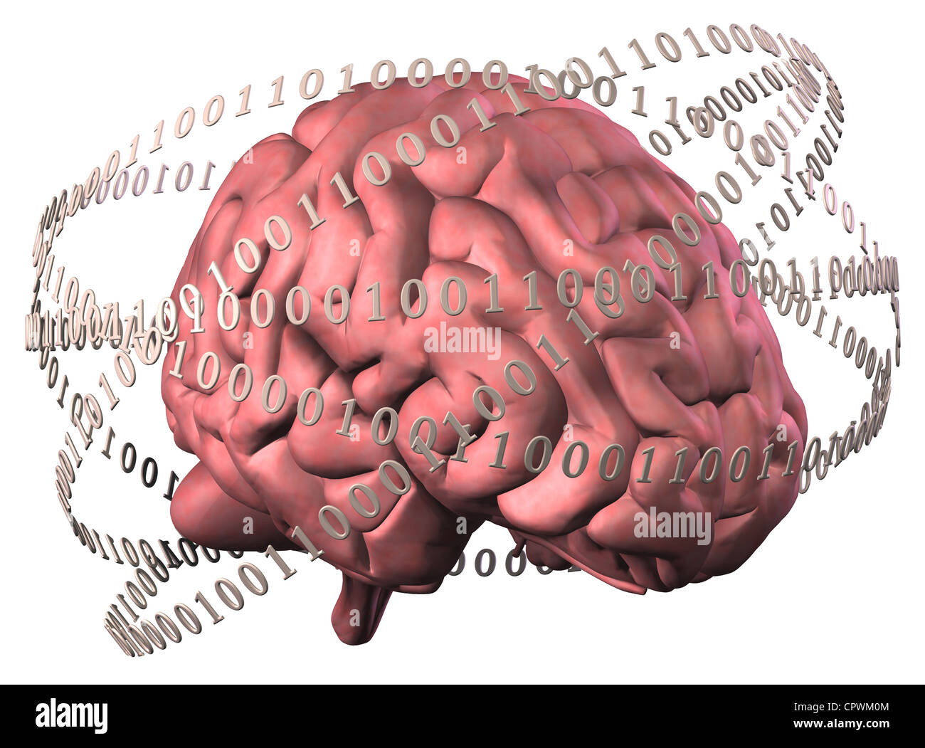 Illustrazione di un cervello umano circondato da codice binario Foto Stock
