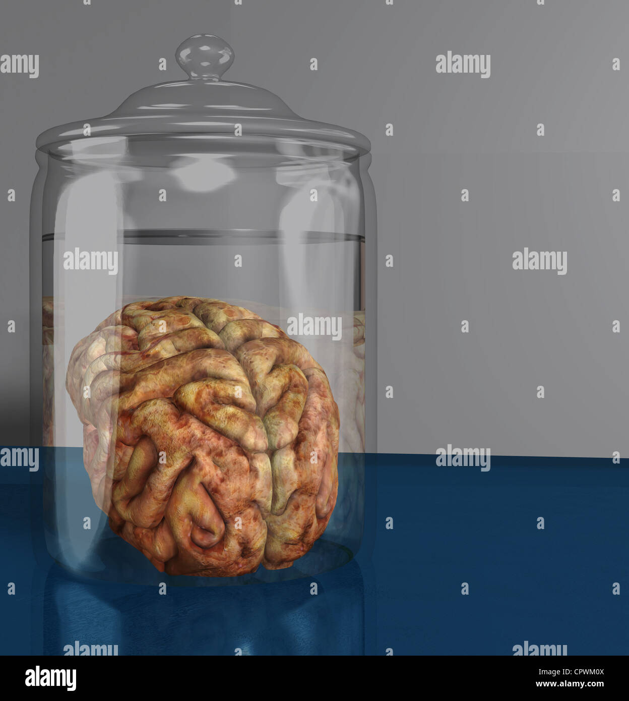 Illustrazione di un cervello umano in un vaso di campione Foto Stock