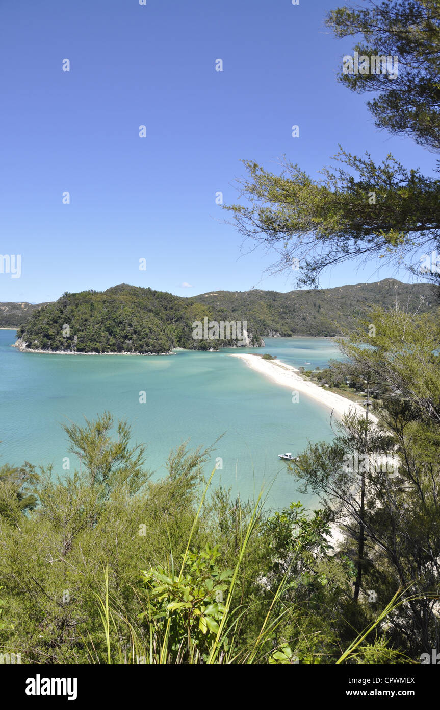 Abel Tasman via costiera sopra Torrent Bay Nuova Zelanda Foto Stock