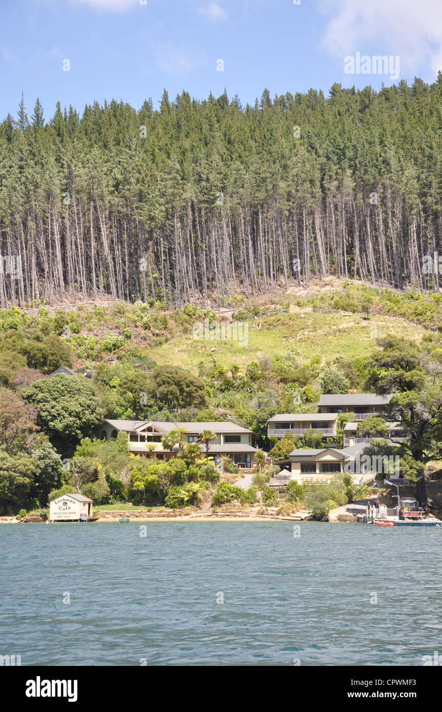 A resort Lochmara Lodge vicino alla città di su Picton Marlborough Sounds. Foto Stock