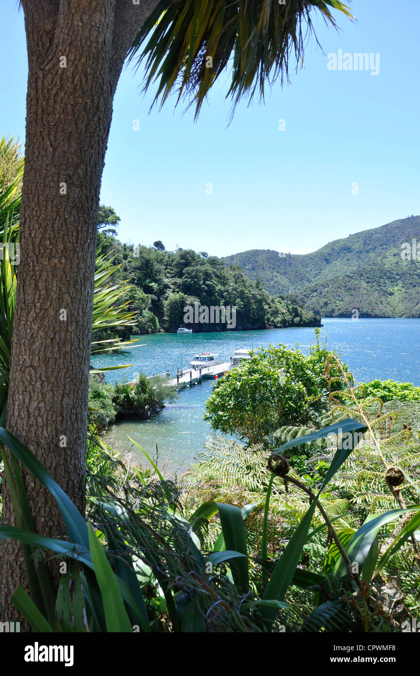 A resort Lochmara Lodge vicino alla città di su Picton Marlborough Sounds. Foto Stock