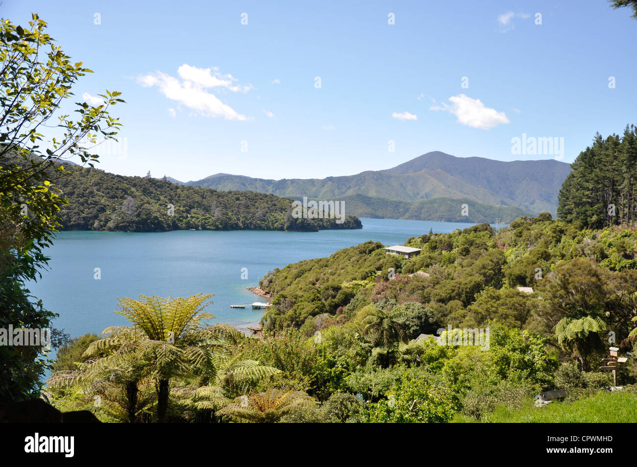 Queen Charlotte Track, Marlborough Sounds, Nuova Zelanda Foto Stock