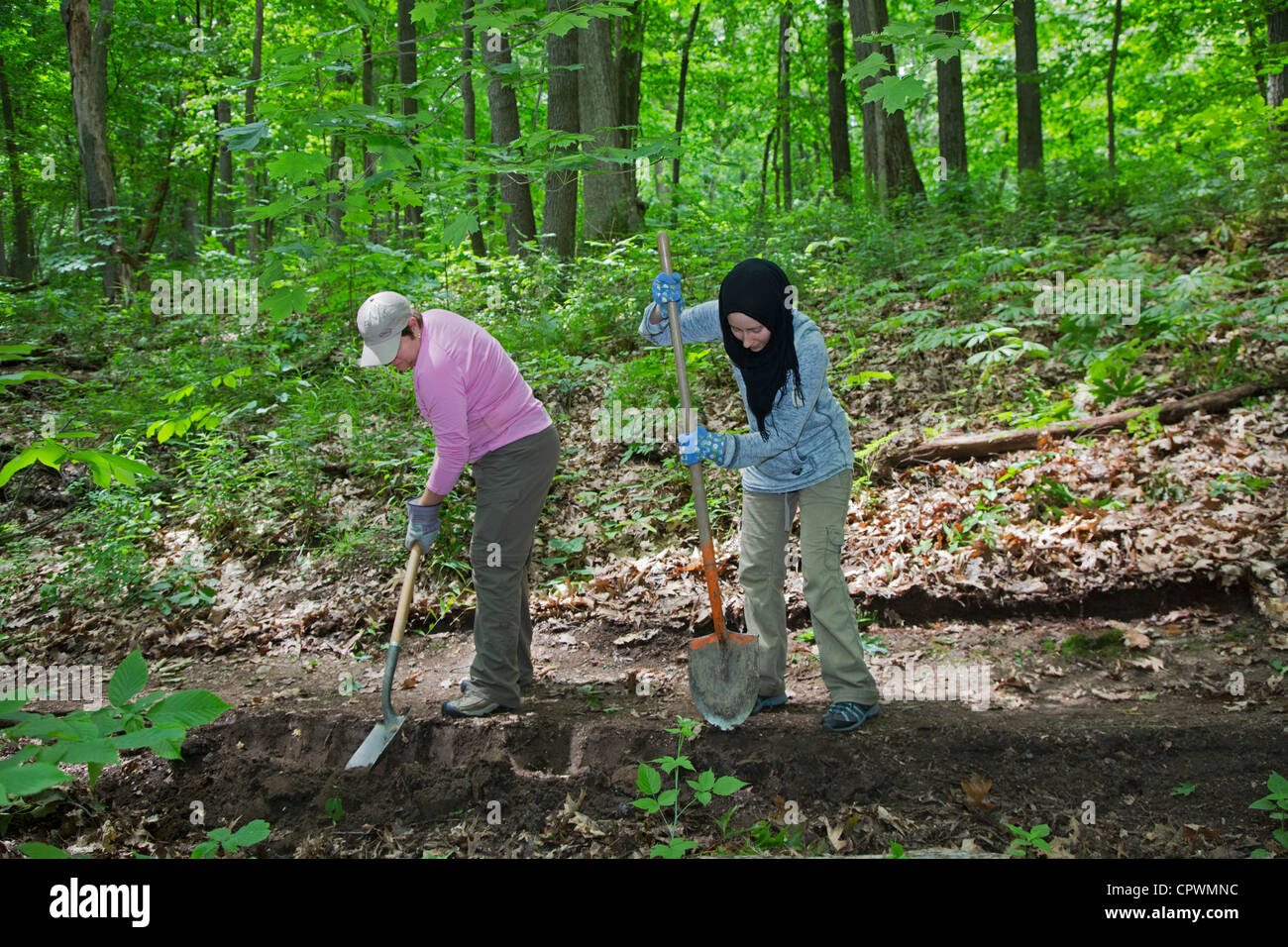 Volontari ricostruire il sentiero escursionistico in Nature Preserve Foto Stock