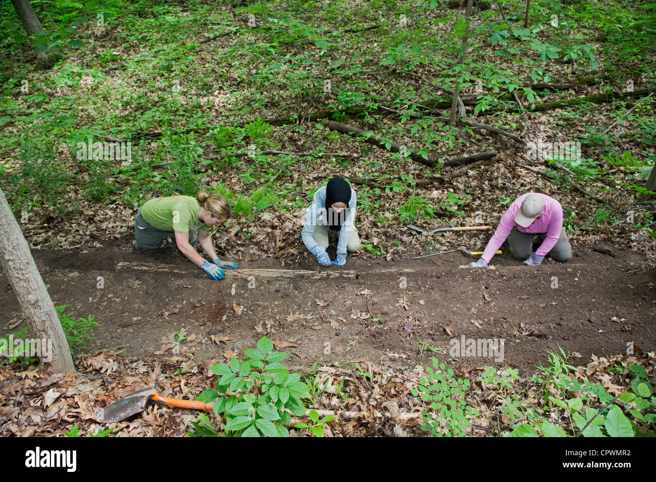 Volontari ricostruire il sentiero escursionistico in Nature Preserve Foto Stock