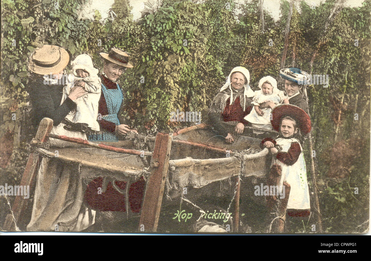 Cartolina di tre generazioni hop raccolta di circa 1905 Foto Stock