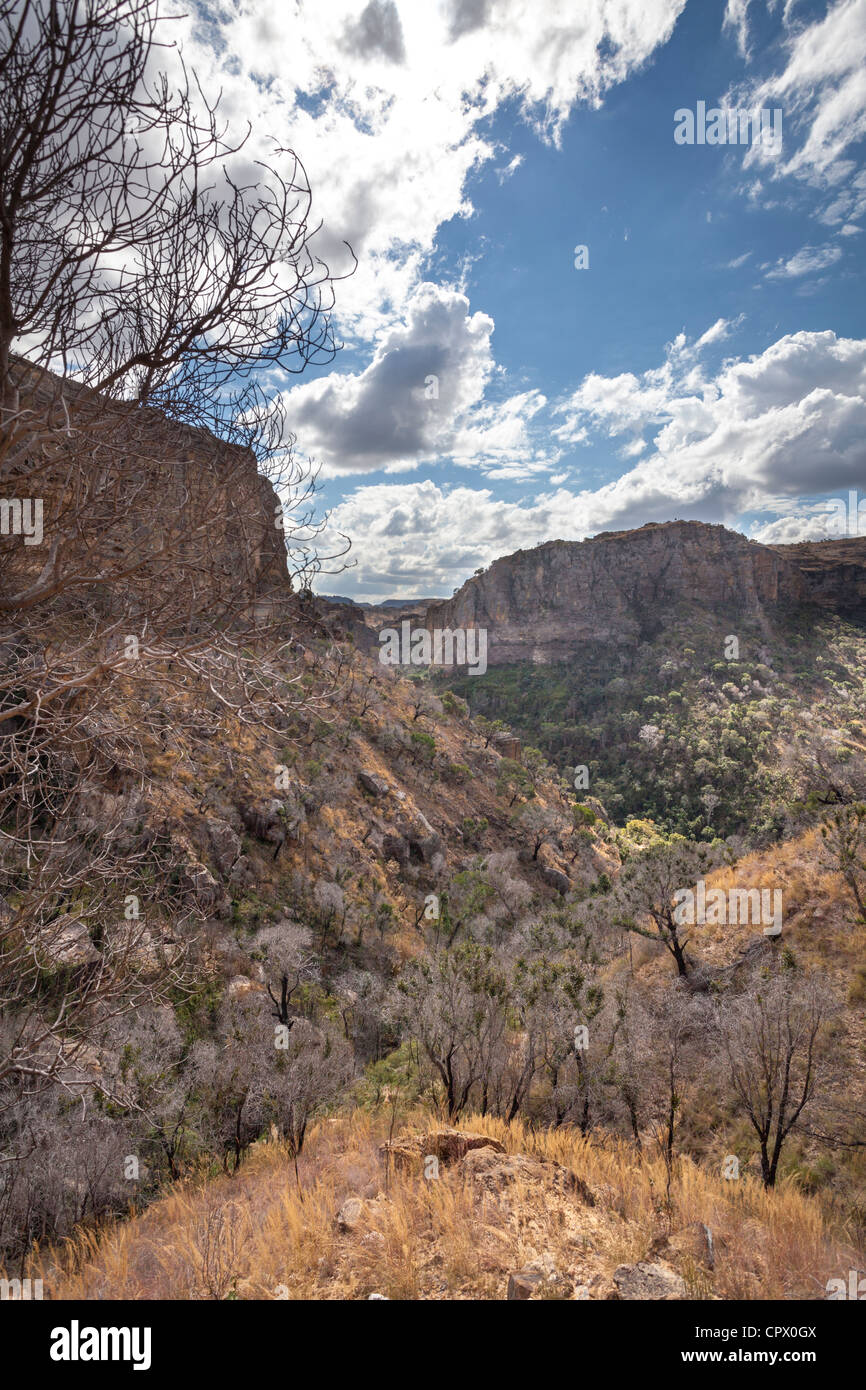 Scogliere di arenaria, Isalo National Park, Ihorombe Regione del Madagascar. Foto Stock