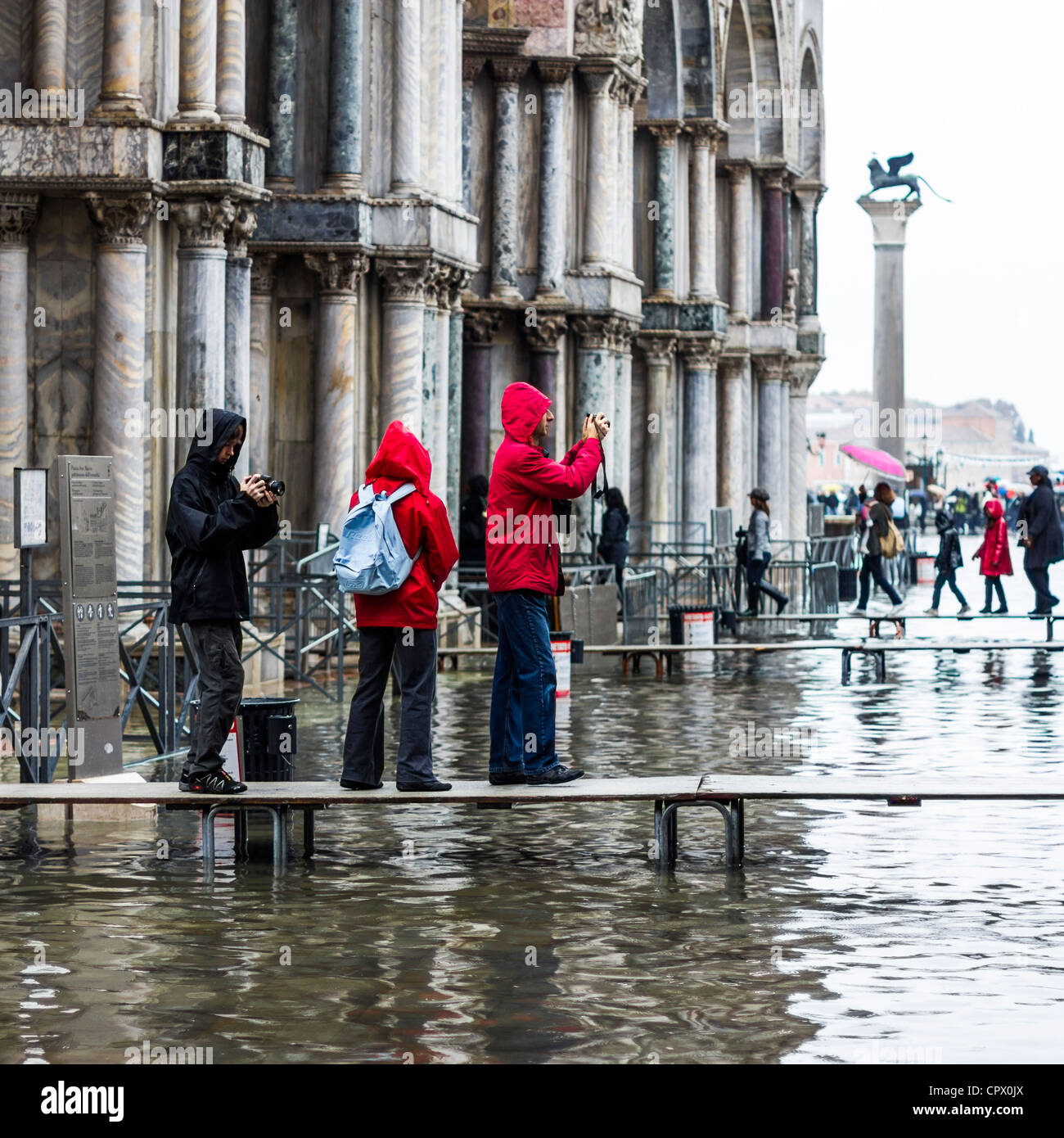 Venezia Italia, 16 Nov 2011: i turisti a piedi lungo percorsi sopraelevati durante l inondazione in Piazza San Marco, Venezia Italia Foto Stock