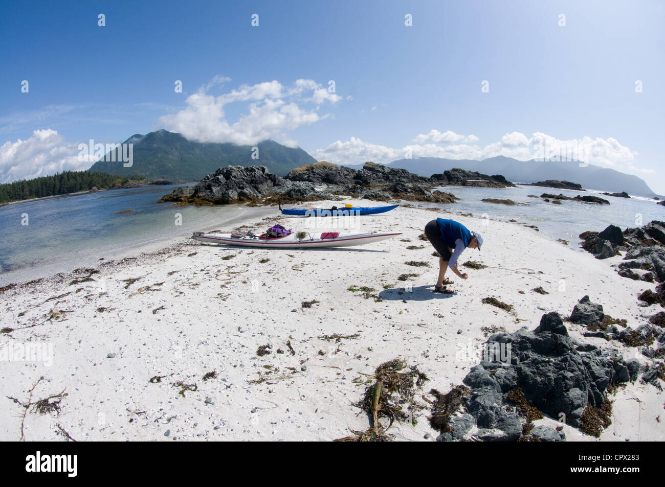 Donna cerca conchiglie sulla spiaggia, ingresso Esperanza, Isola di Vancouver, British Columbia, Canada Foto Stock