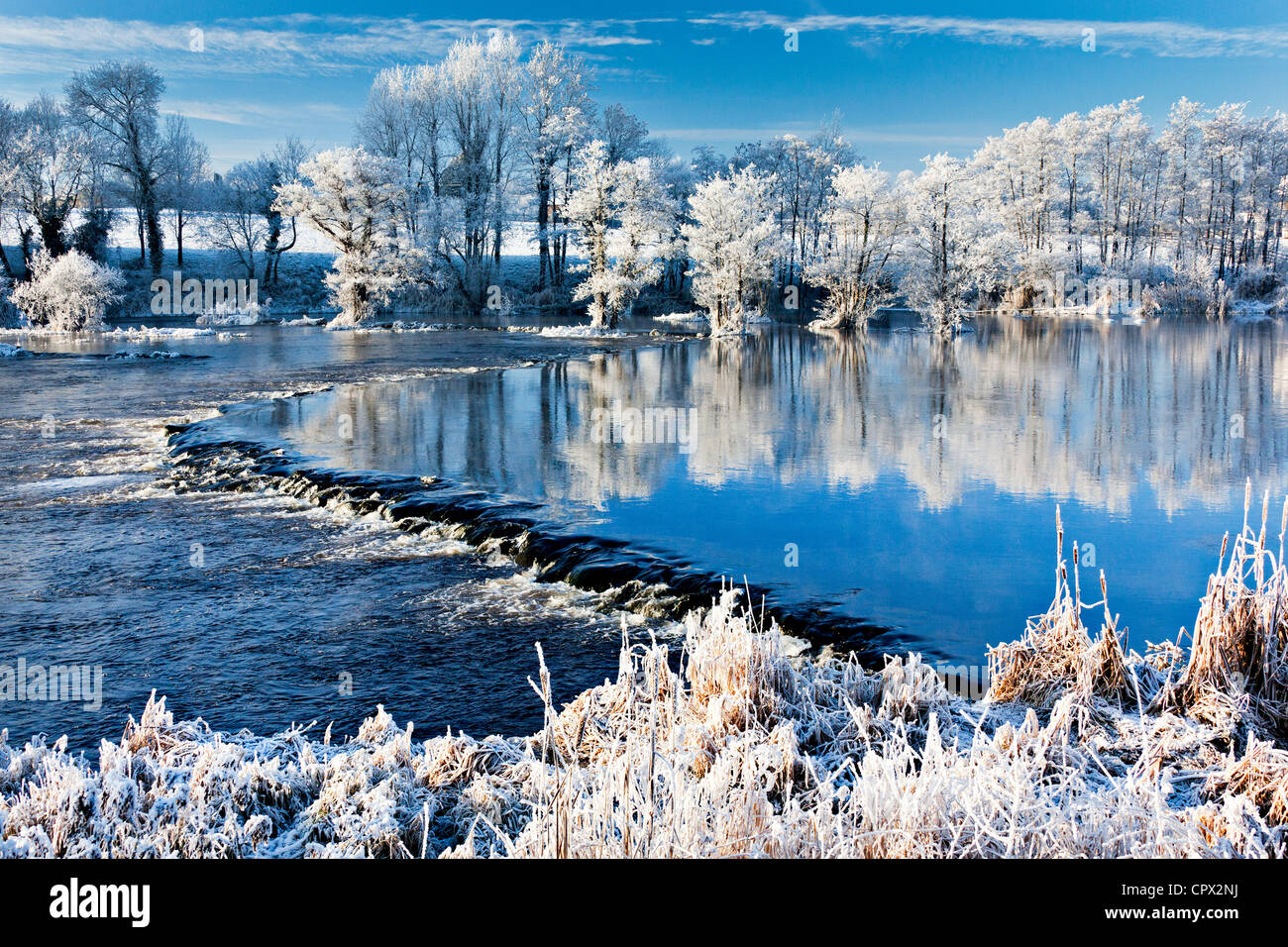 Fiume Shannon in inverno, worrels fine, castleconnell, County Limerick, Irlanda Foto Stock