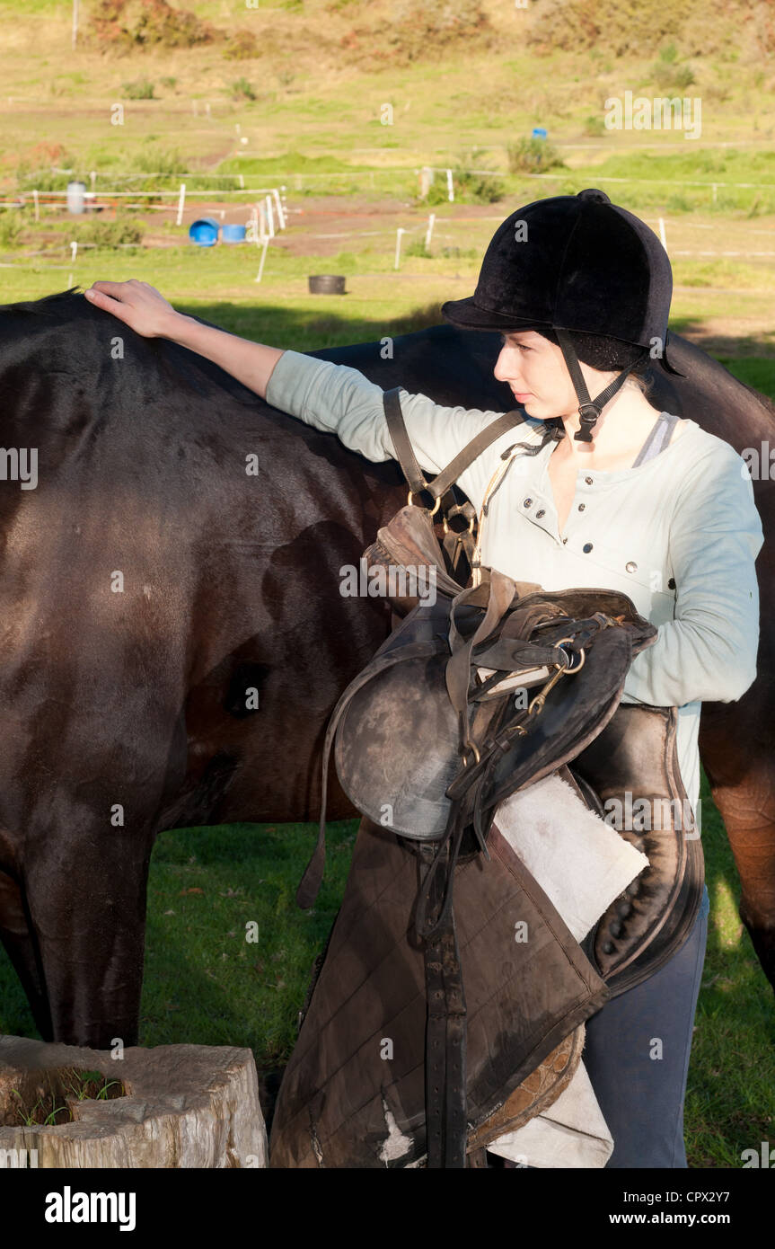 Giovane donna pacche cavalli indietro Foto Stock
