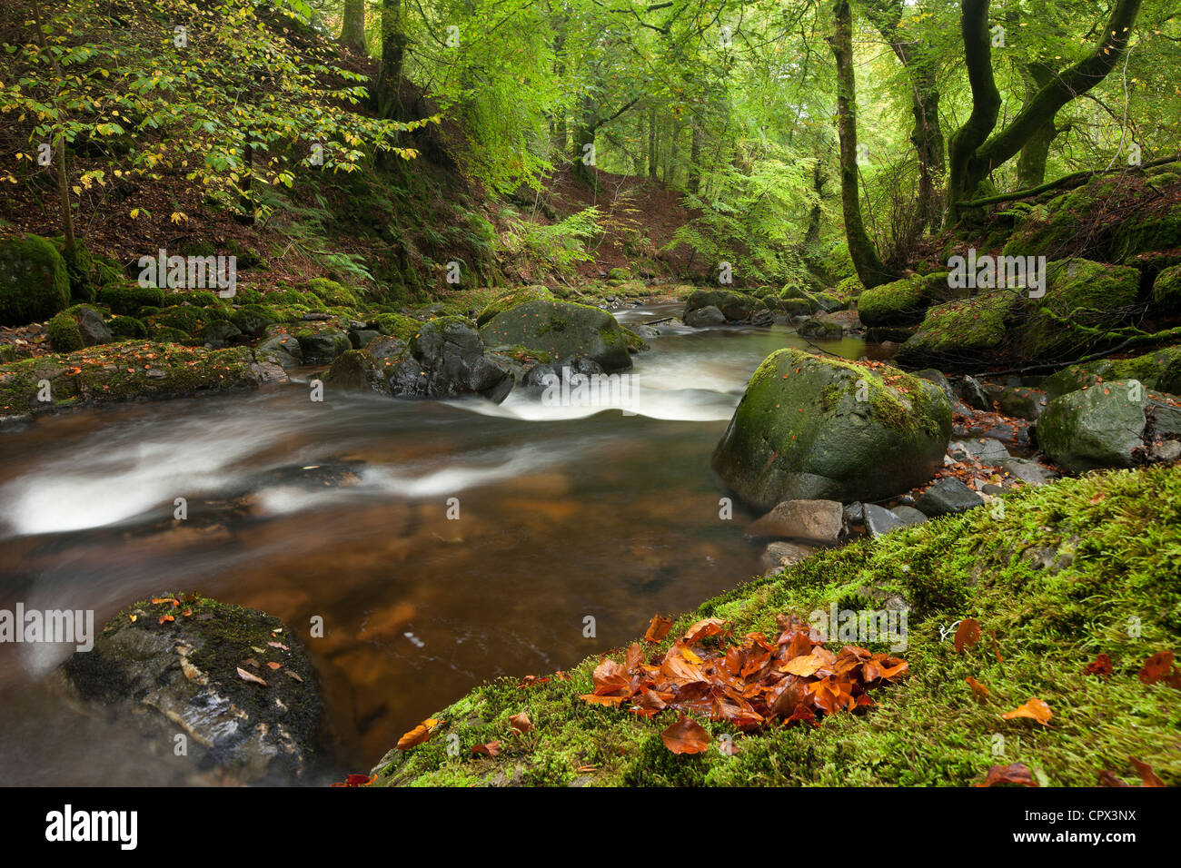 La Birks di Aberfeldy, Perthshire Scozia Scotland Foto Stock