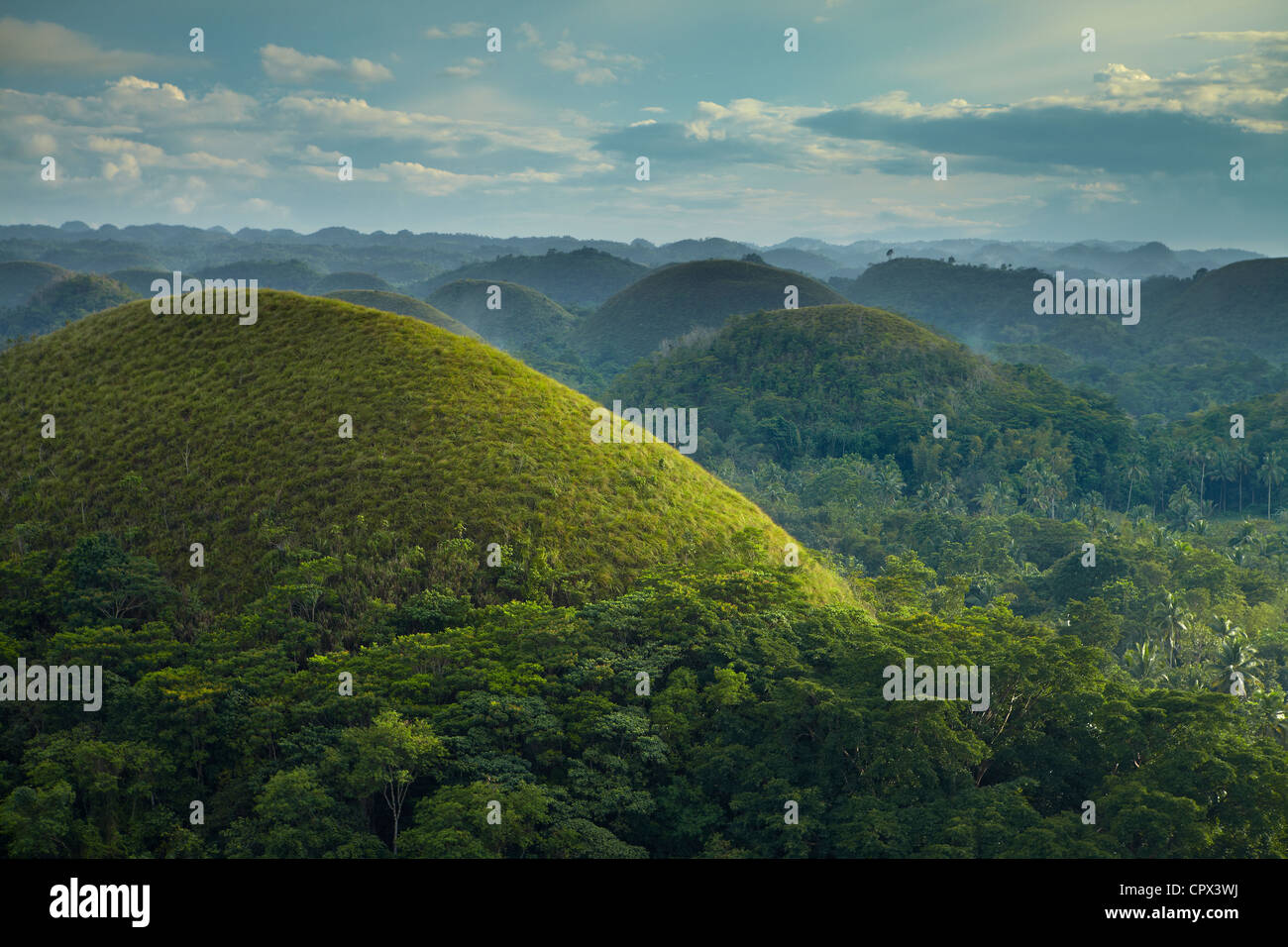 Chocolate Hills, Bohol, Visayas, Filippine Foto Stock