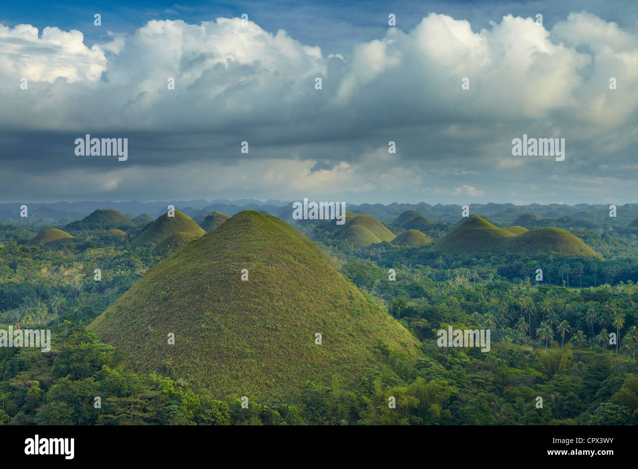 Chocolate Hills, Bohol, Visayas, Filippine Foto Stock