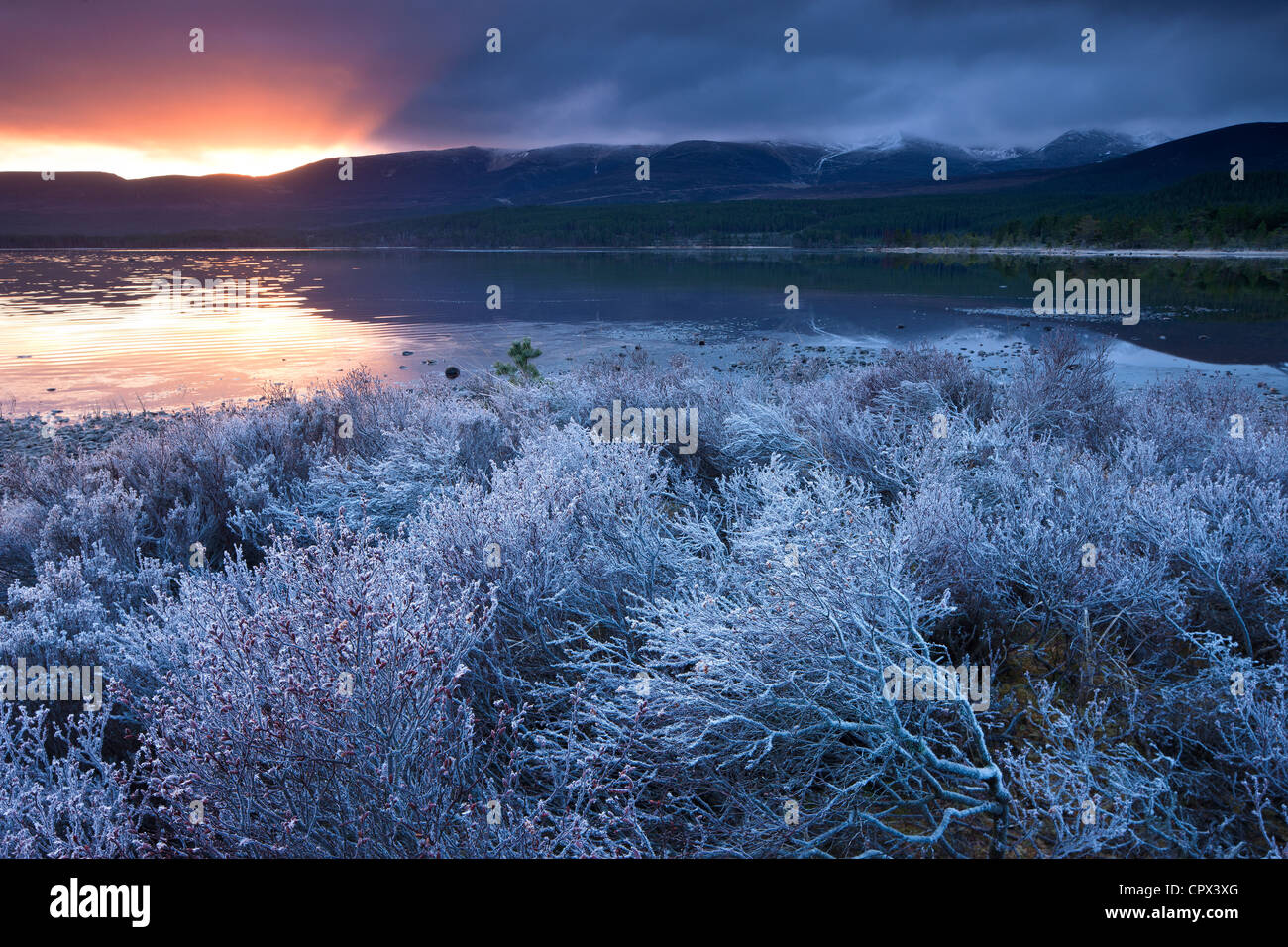 Loch Morlich e Cairngorms all'alba, Badenoch e Strathspey, Scozia Foto Stock