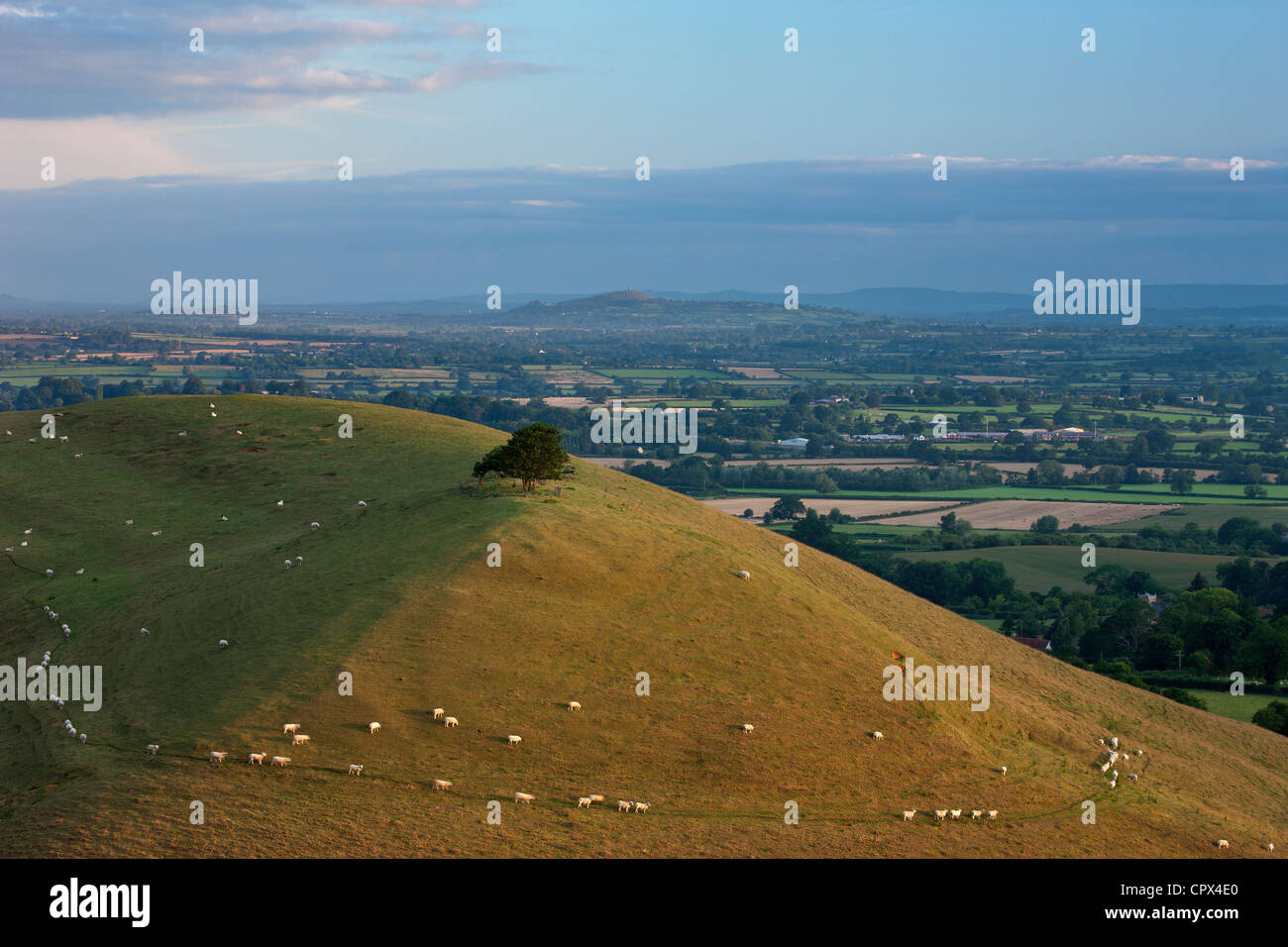 Parrock Hill wiith Glastonbury Tor in lontananza da Corton Hill, Somerset, Inghilterra, Regno Unito Foto Stock