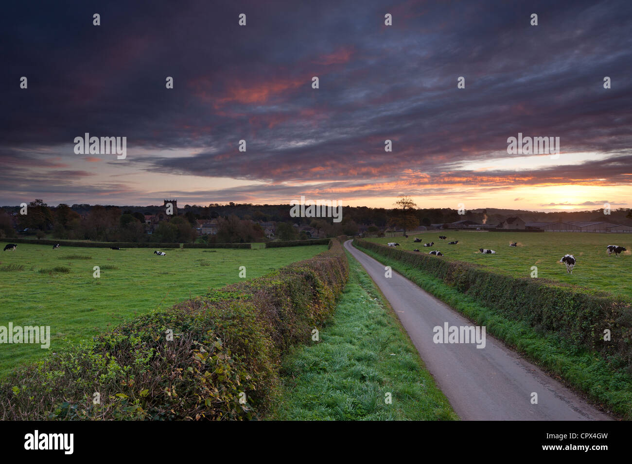 Milborne Port all'alba, sul Dorset/Confine di Somerset, Inghilterra, Regno Unito Foto Stock