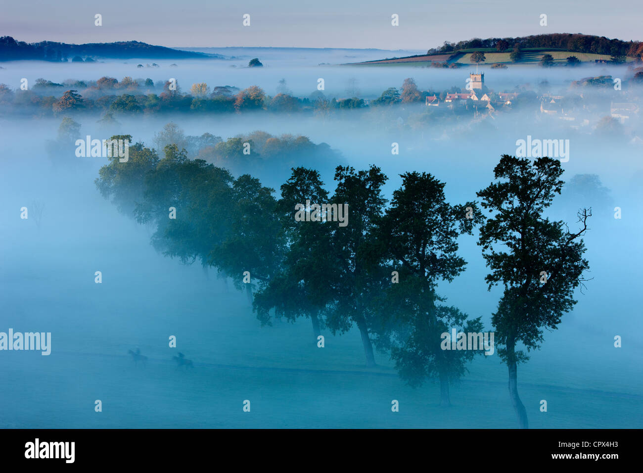 Una nebbiosa mattina autunnale, Milborne Port, sul Dorset/Confine di Somerset, Inghilterra, Regno Unito Foto Stock