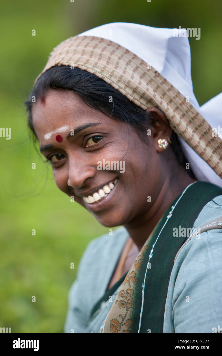 Un tè plucker sul Pedro station wagon, Nuwara Eliya, Highlands Centrali, Sri Lanka Foto Stock