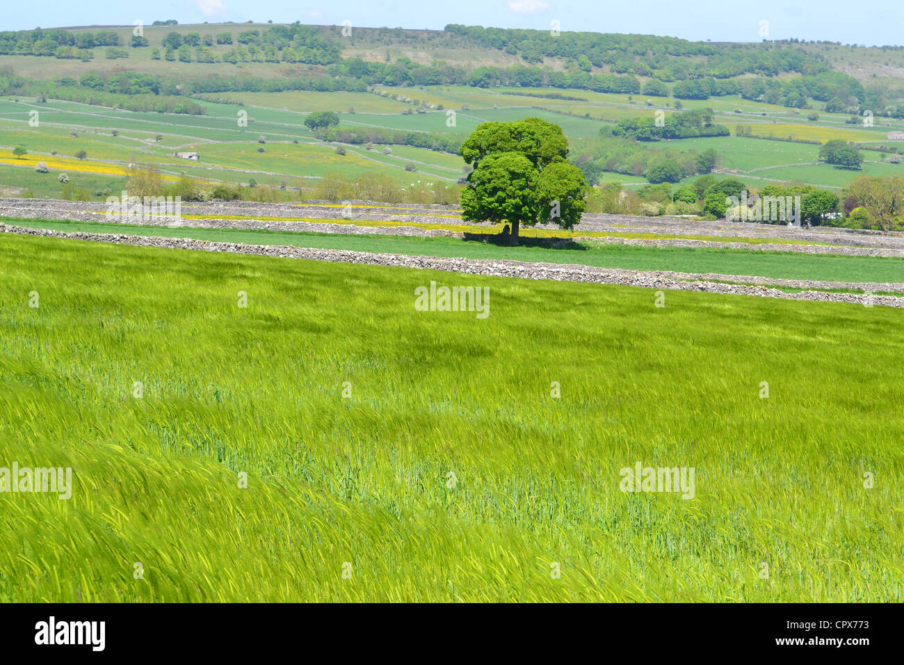 Ashford Campagna, Ashford, Peak District, Derbyshire, Regno Unito. Foto Stock