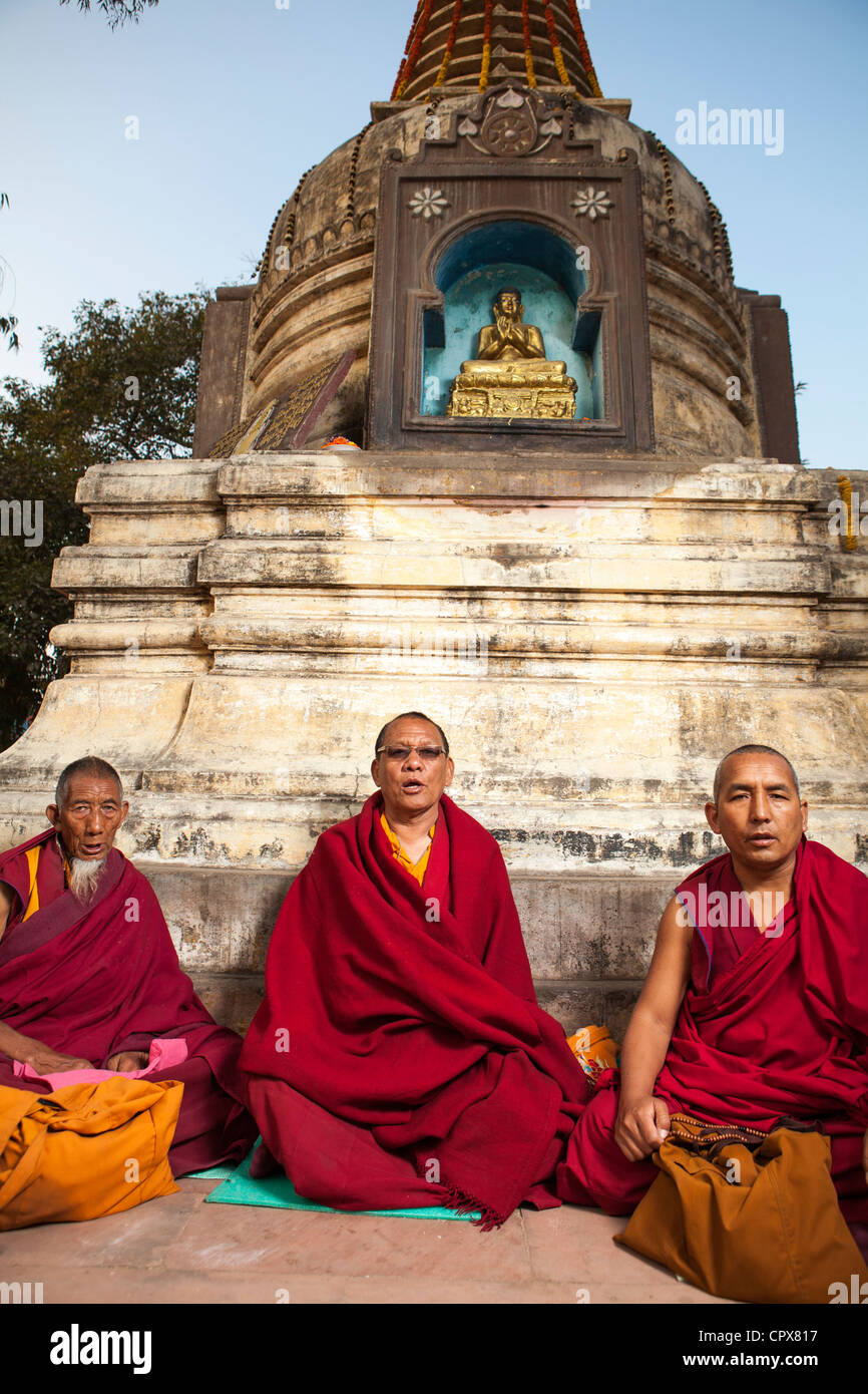 Lama tibetano monaci a pregare nel tempio di Mahabodhi, Bodh Gaya, Bihar, in India Foto Stock
