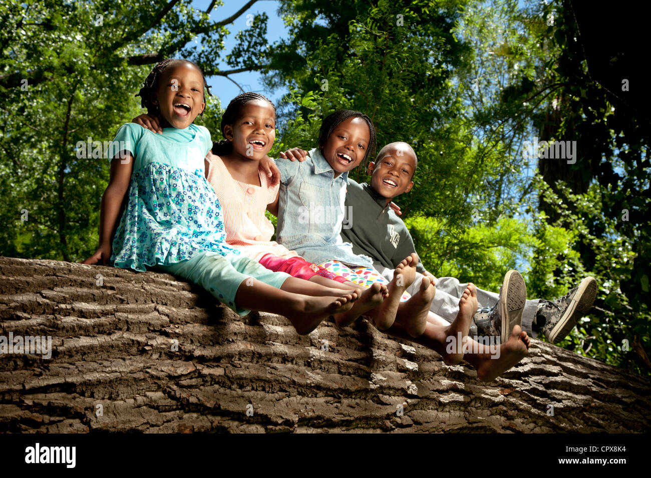 Quattro bambini seduti su un log in un parco Foto Stock