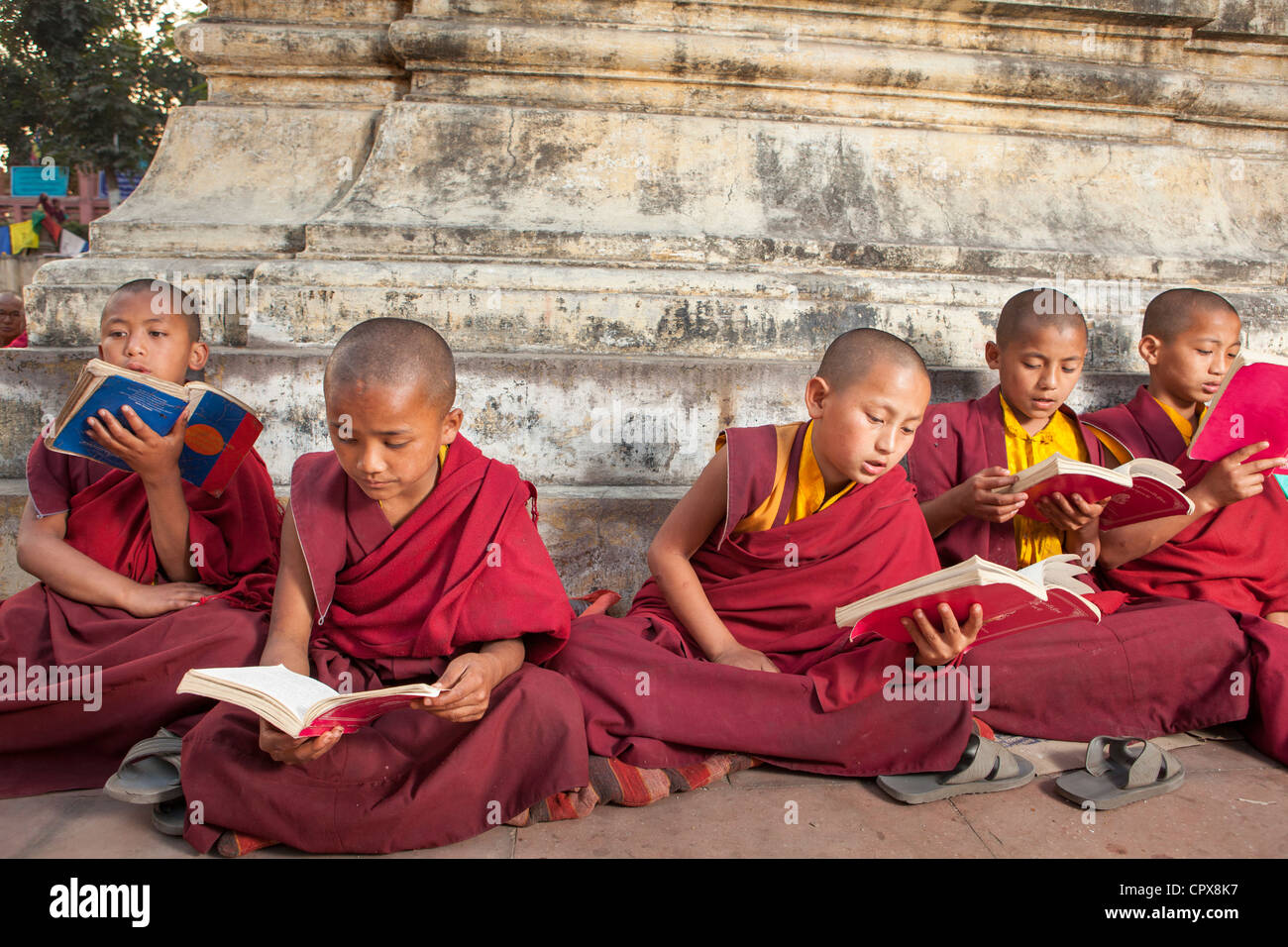 I giovani monaci tibetani studio delle scritture buddhiste, tempio di Mahabodhi, Bodh Gaya, Bihar, in India Foto Stock
