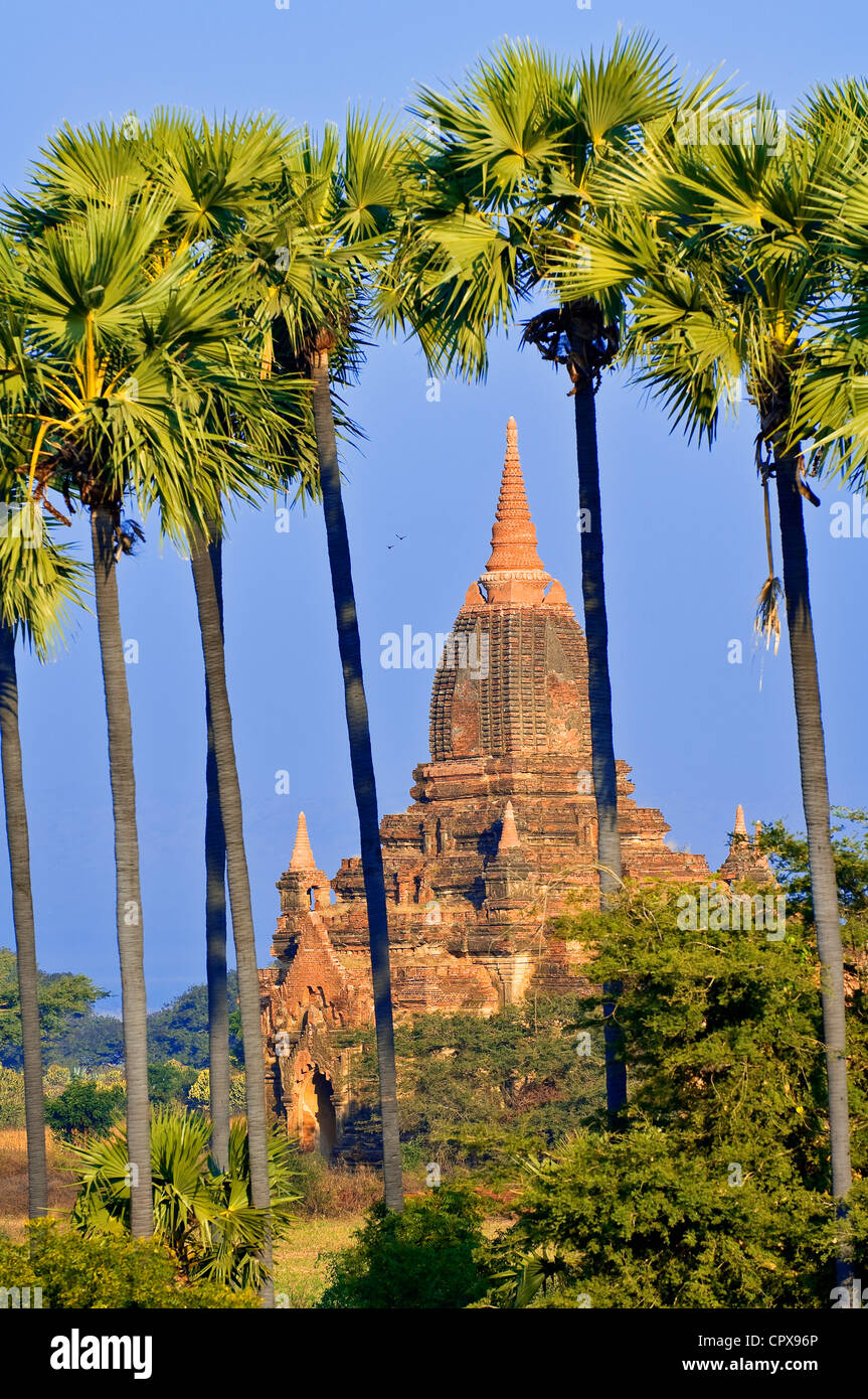 Myanmar (Birmania), Divisione Mandalay, Bagan (pagano), Old Bagan, costruita in mattoni pagoda Foto Stock