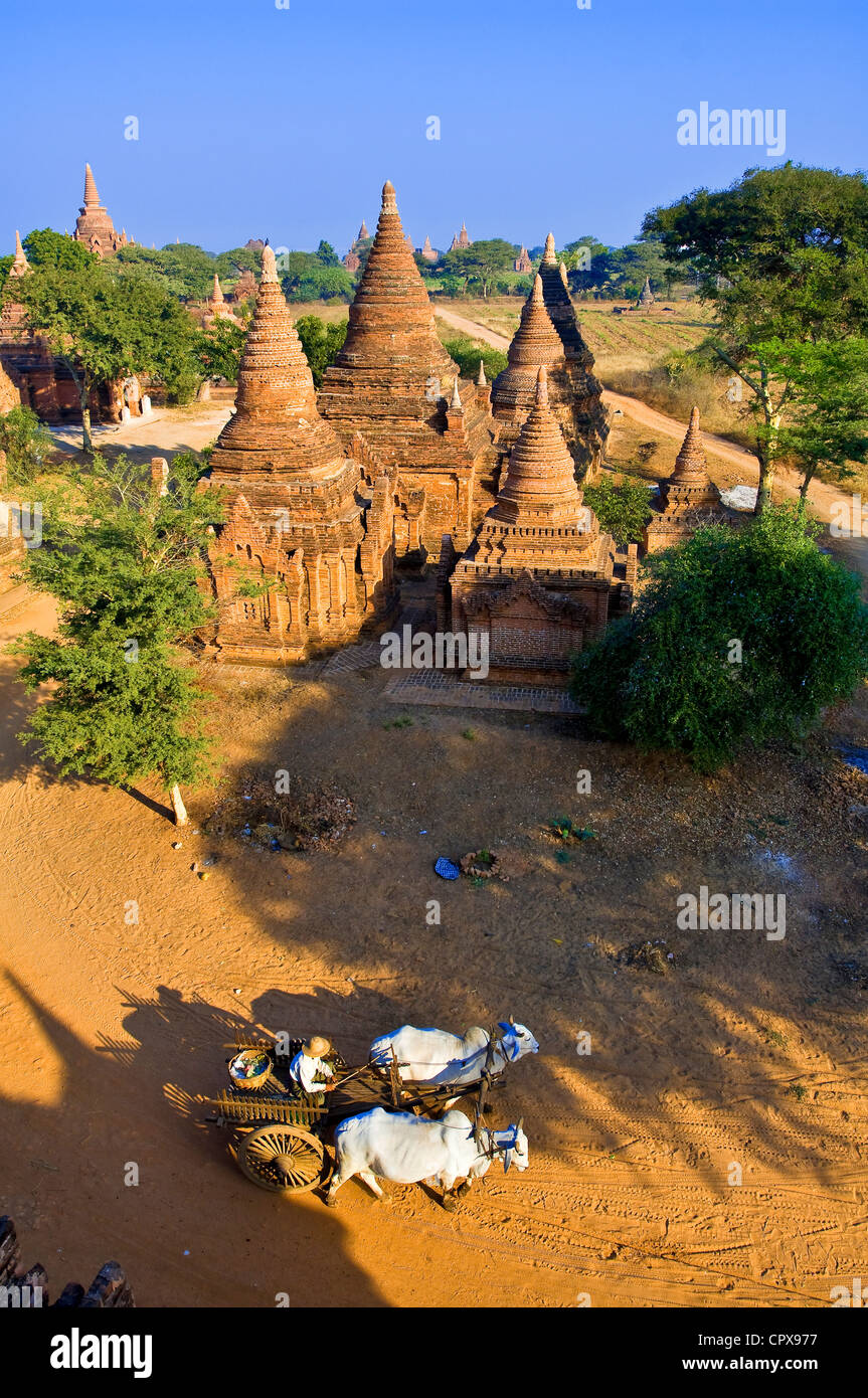 Myanmar (Birmania), Divisione Mandalay, Bagan (pagano), Old Bagan, Khaymingha complesso risalente al XIII secolo Foto Stock
