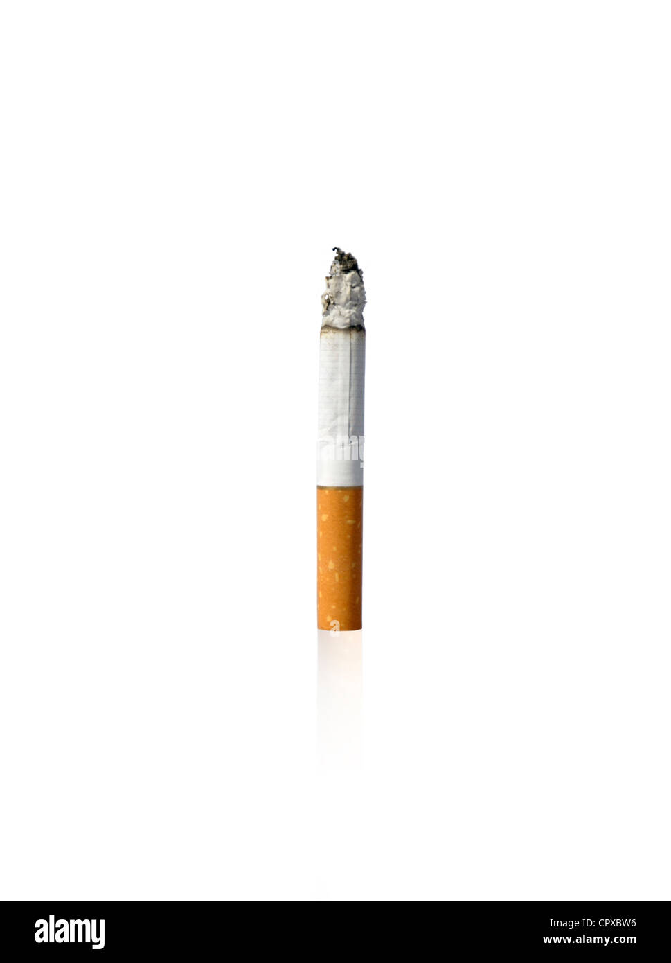 La foto mostra una mezza sigaretta fumata in piedi su sfondo bianco Foto Stock