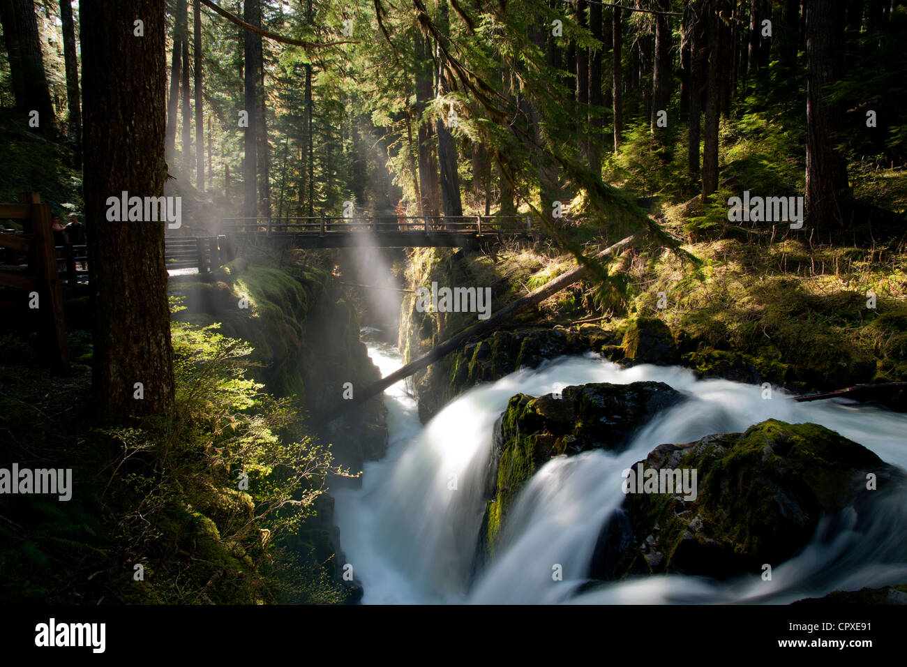 Sol Duc Falls - Parco nazionale di Olympic, vicino a Port Angeles, Washington, Stati Uniti d'America Foto Stock