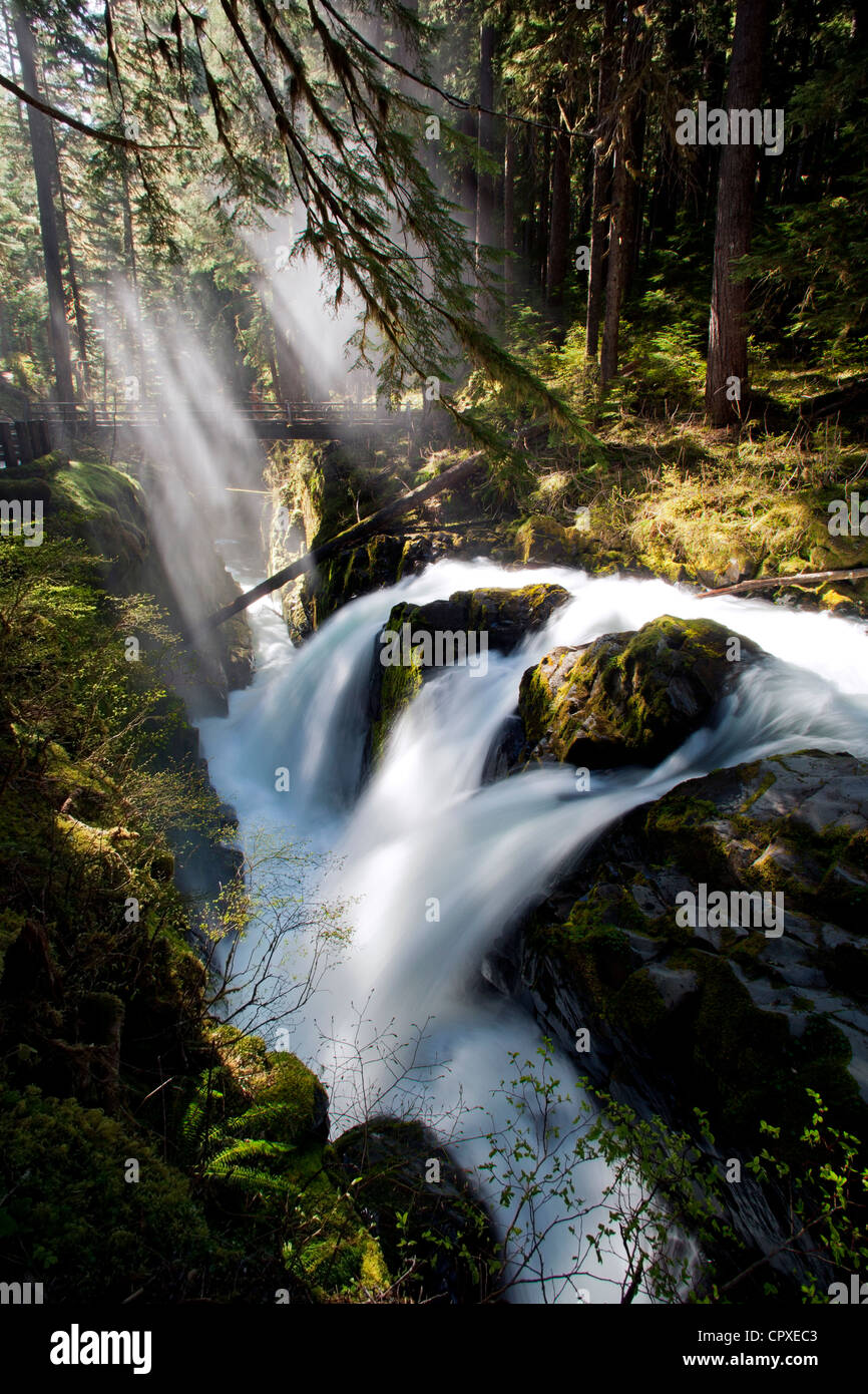 Sol Duc Falls - Parco nazionale di Olympic, vicino a Port Angeles, Washington, Stati Uniti d'America Foto Stock