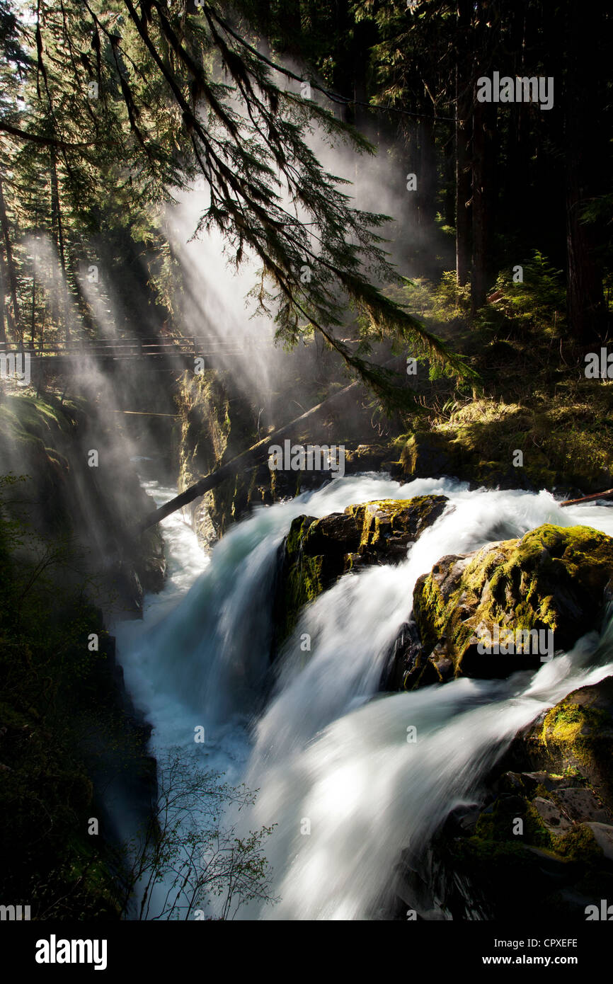 Sol Duc Falls - Parco nazionale di Olympic, vicino a Port Angeles, Washington, Stati Uniti d'America Foto Stock