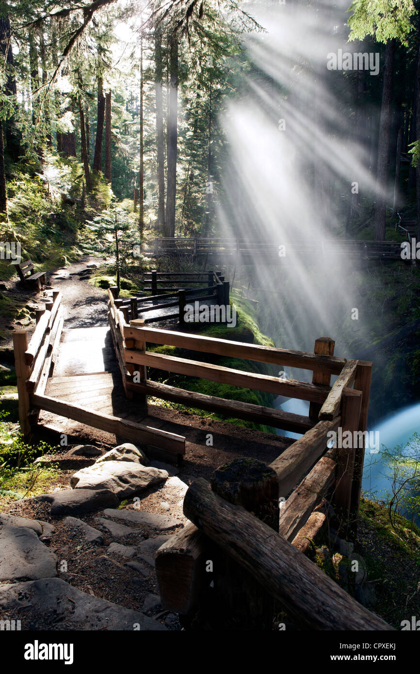 Sentiero vicino a Sol Duc Falls - Parco nazionale di Olympic, vicino a Port Angeles, Washington, Stati Uniti d'America Foto Stock