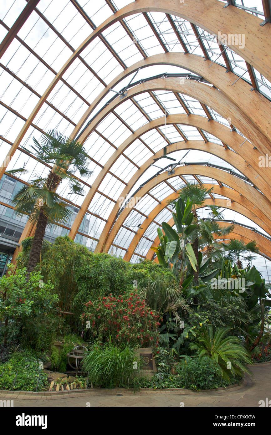 Sheffield Winter Gardens interno Foto Stock