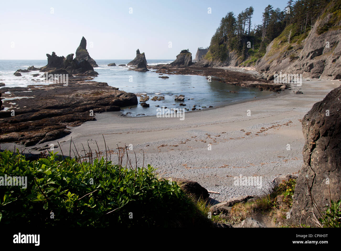 Shi Shi Beach Paesaggio - Neah Bay, Stati Uniti di Washington Foto Stock