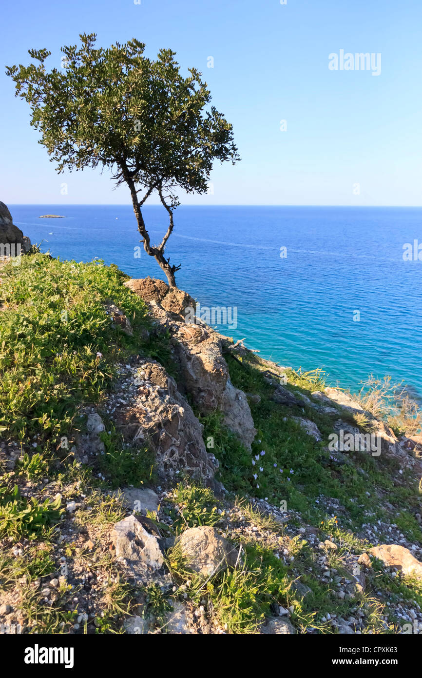 Vista della baia di Chrysochous dalle colline della penisola di Akamas Foto Stock