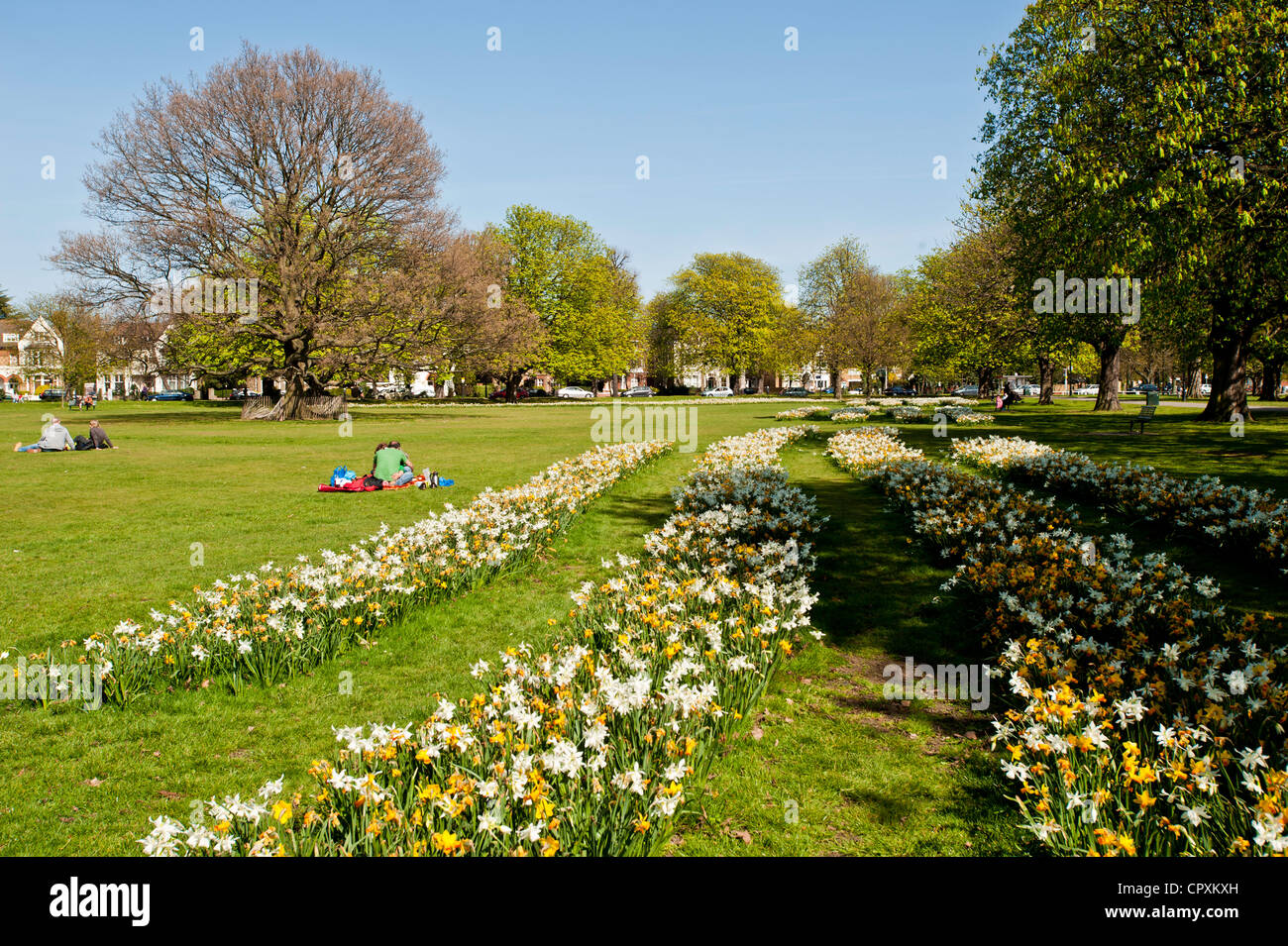 La molla su Ealing Common, Londra, Regno Unito Foto Stock