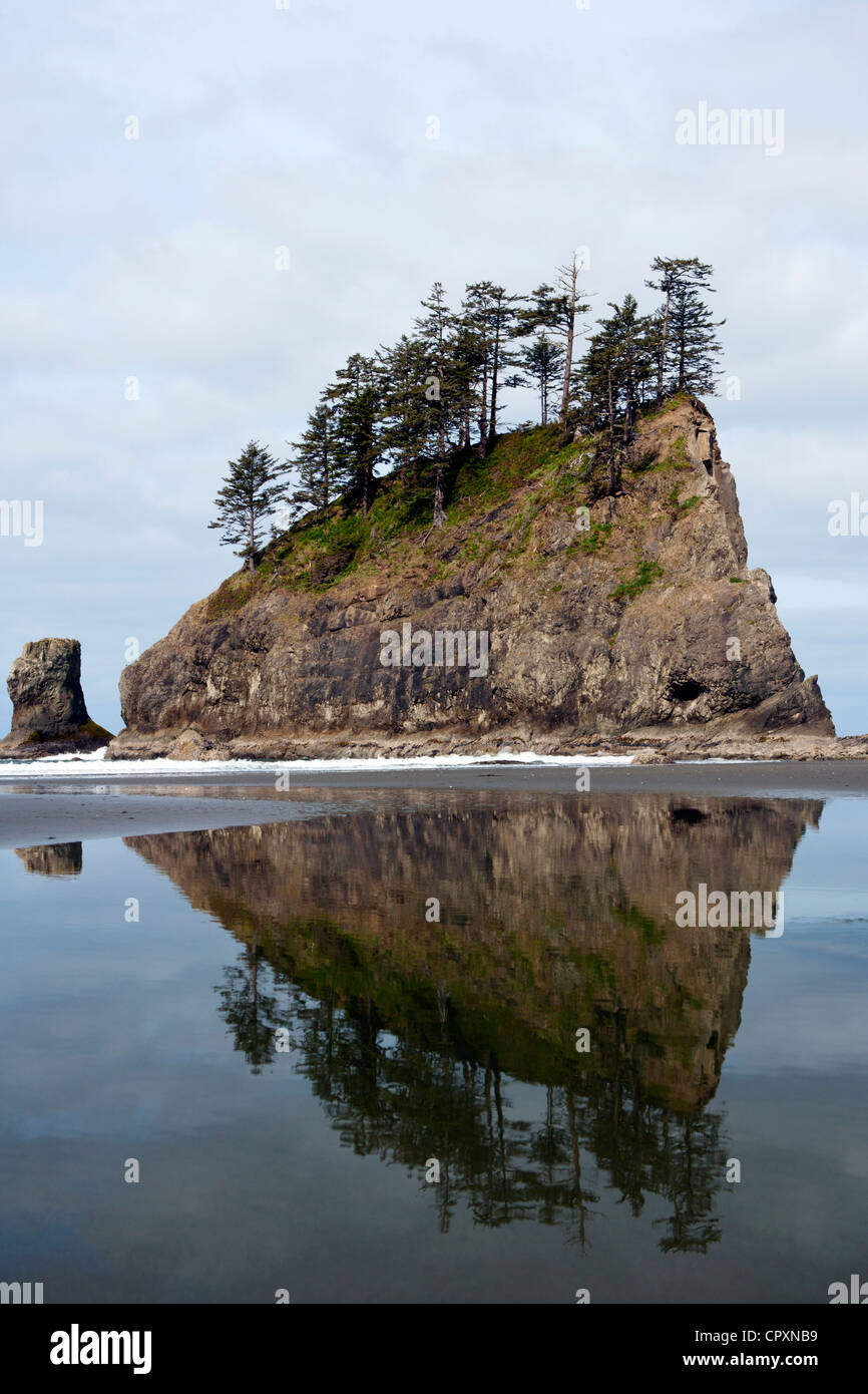 Seconda Spiaggia - La spinta, Washington, Stati Uniti d'America Foto Stock